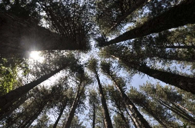 La Casa Di Chiaretta