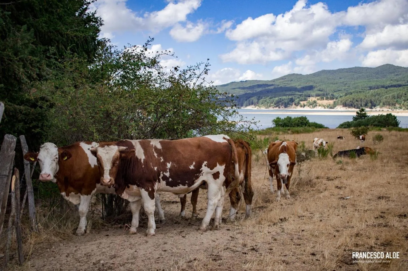 La Casa Di Chiaretta