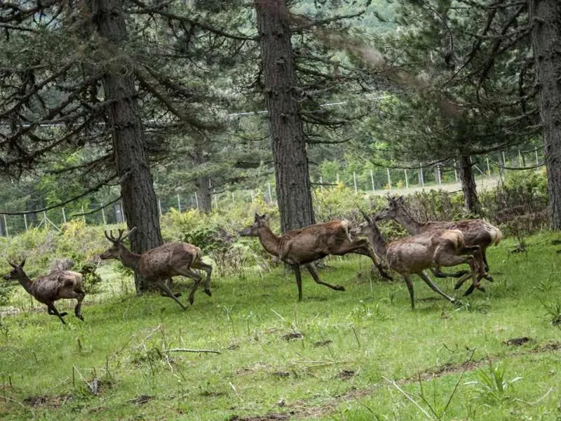 La Casa Di Chiaretta