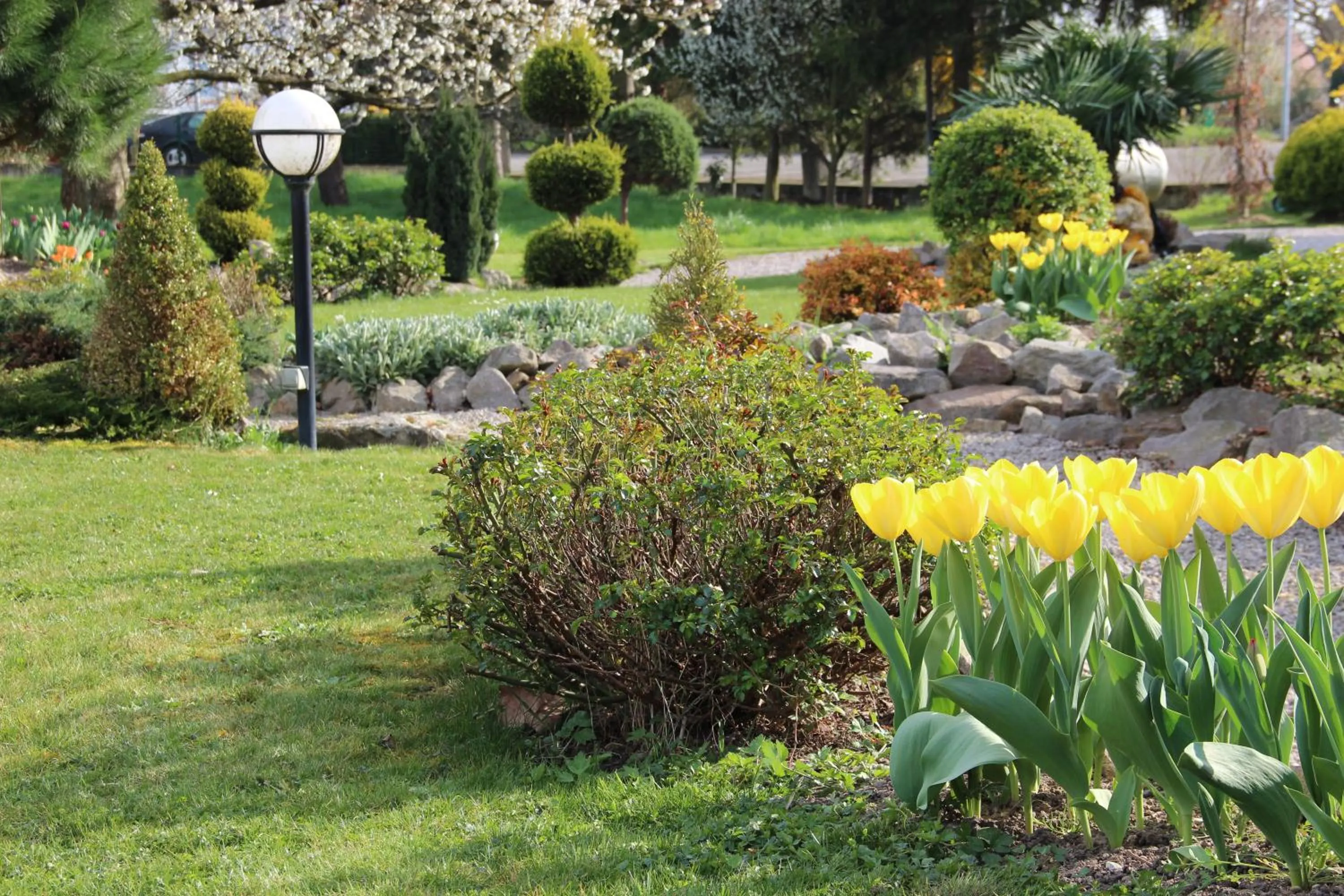 Garden in Hôtel Restaurant Oberlé