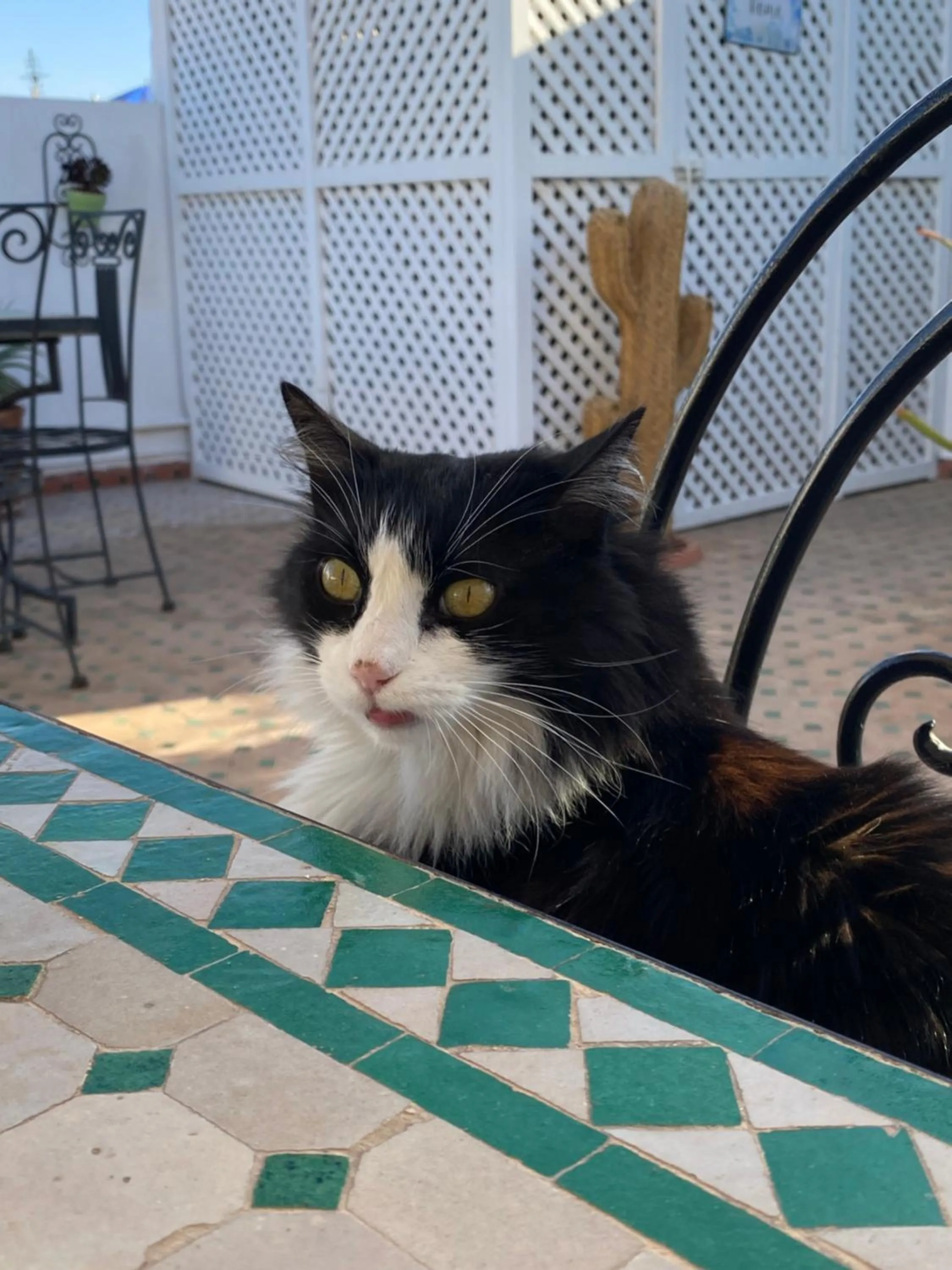 Property building in Riad Mouna