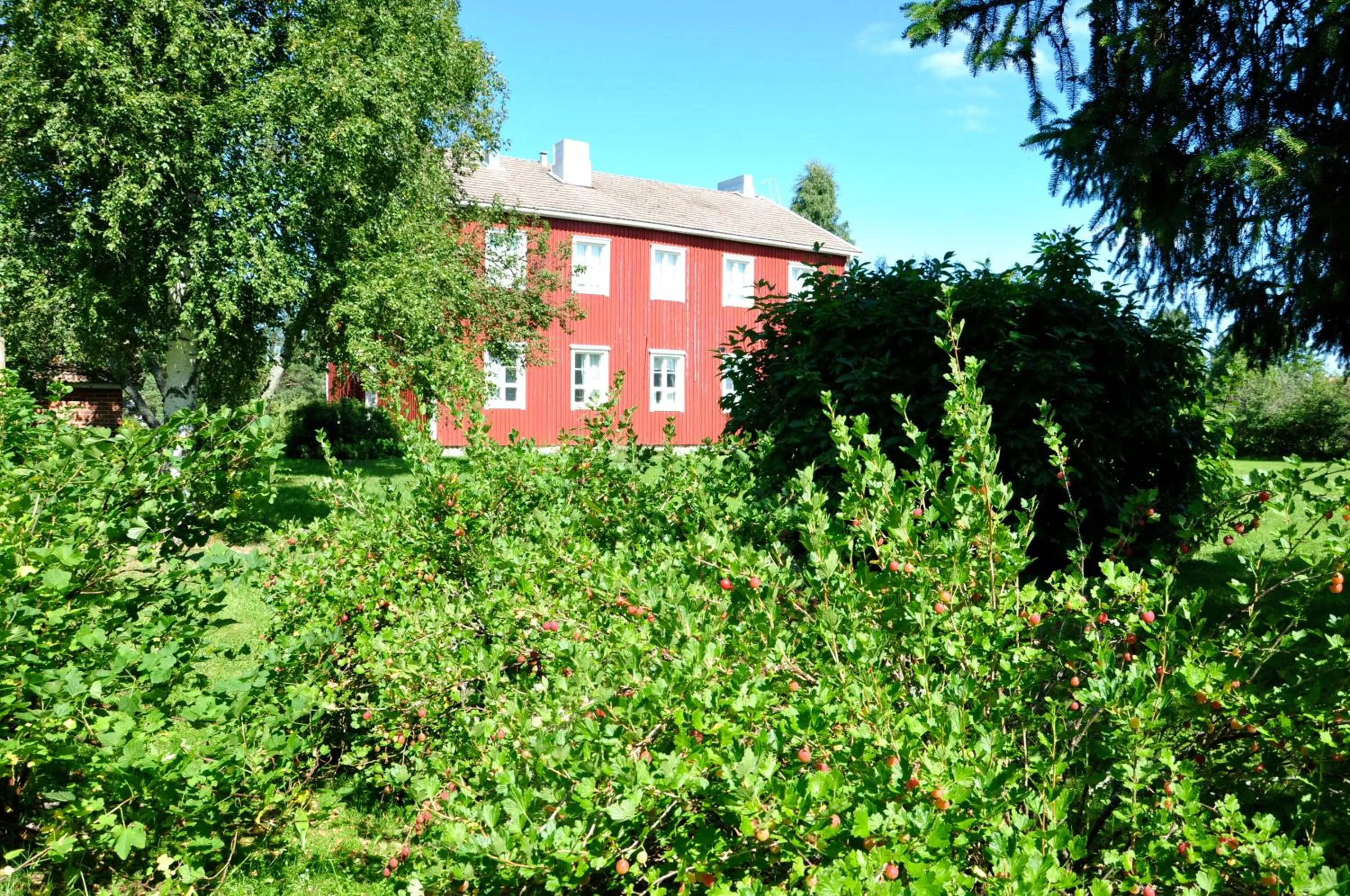Garden in Opintola Bed & Breakfast