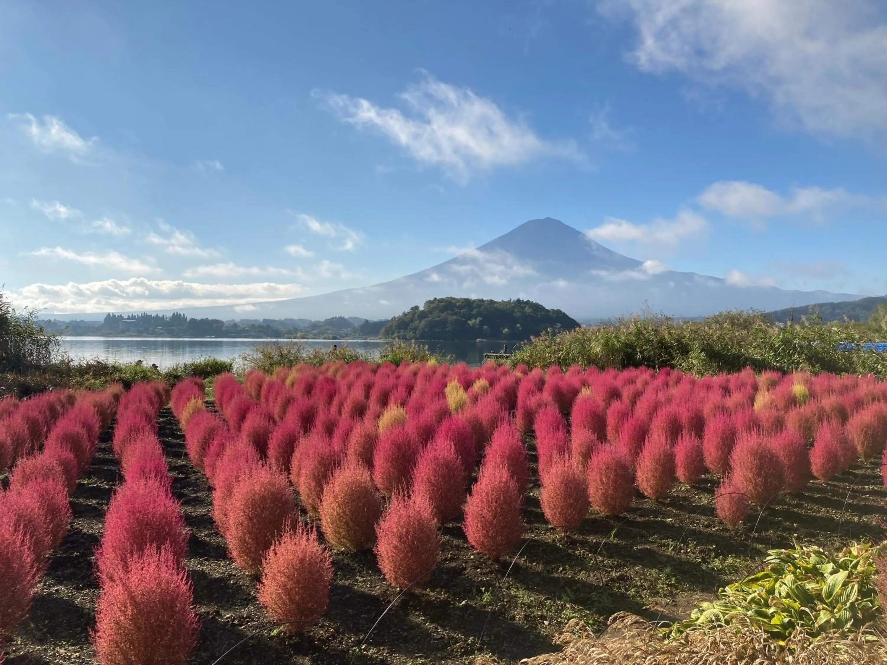 Natural landscape in Villa Relax