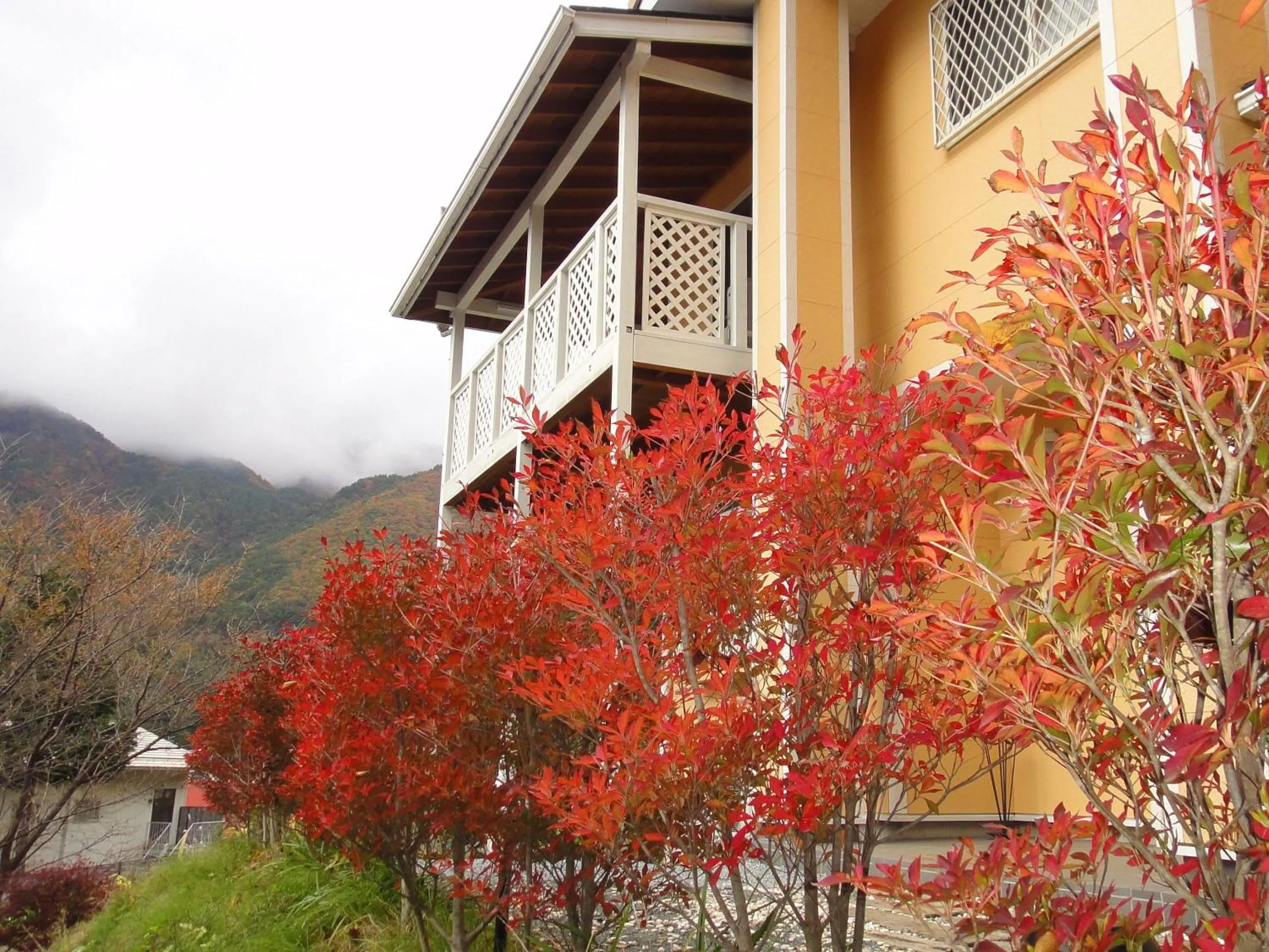 Facade/entrance in Villa Relax