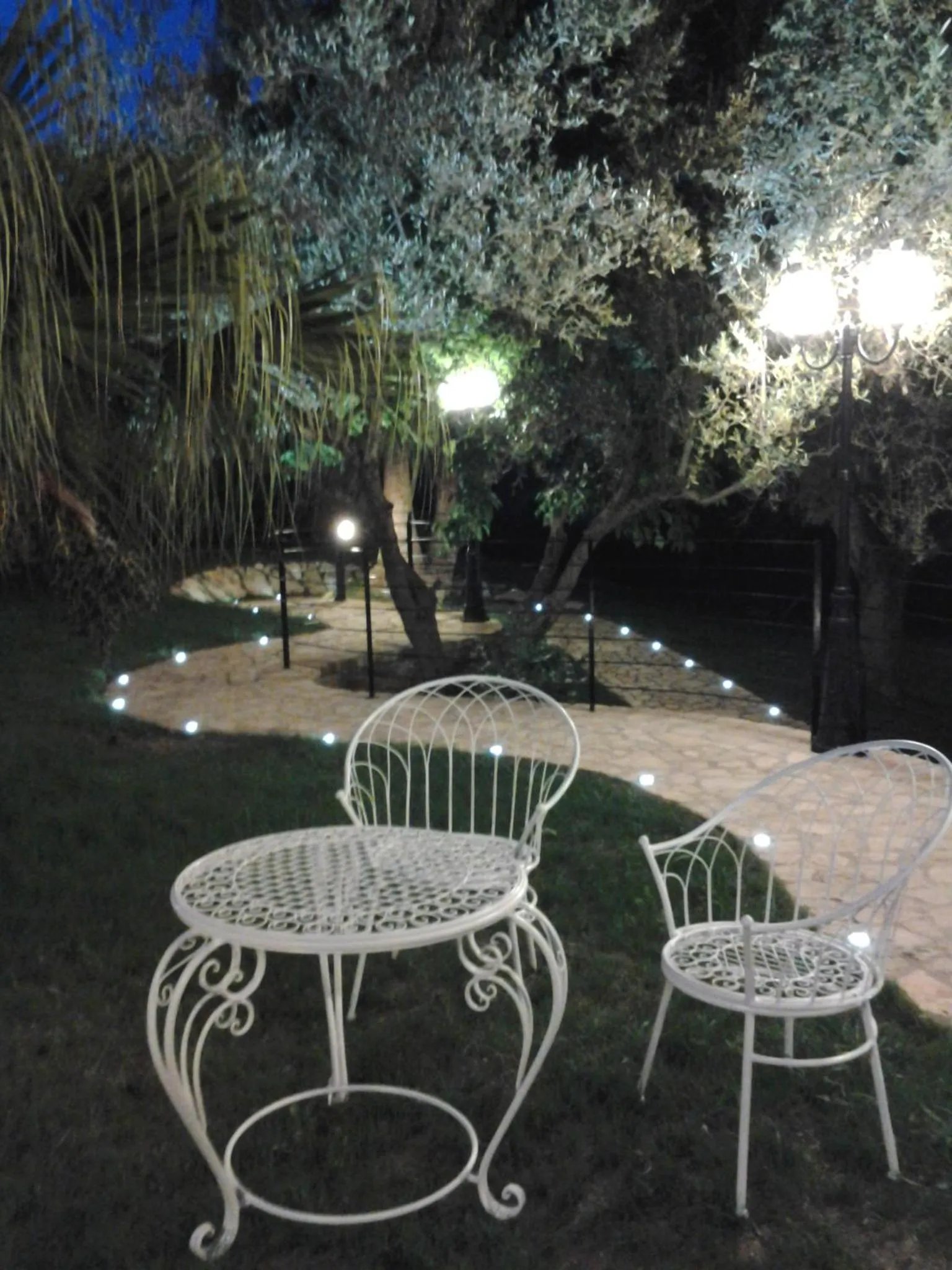 Garden in Hotel Il Corsaro