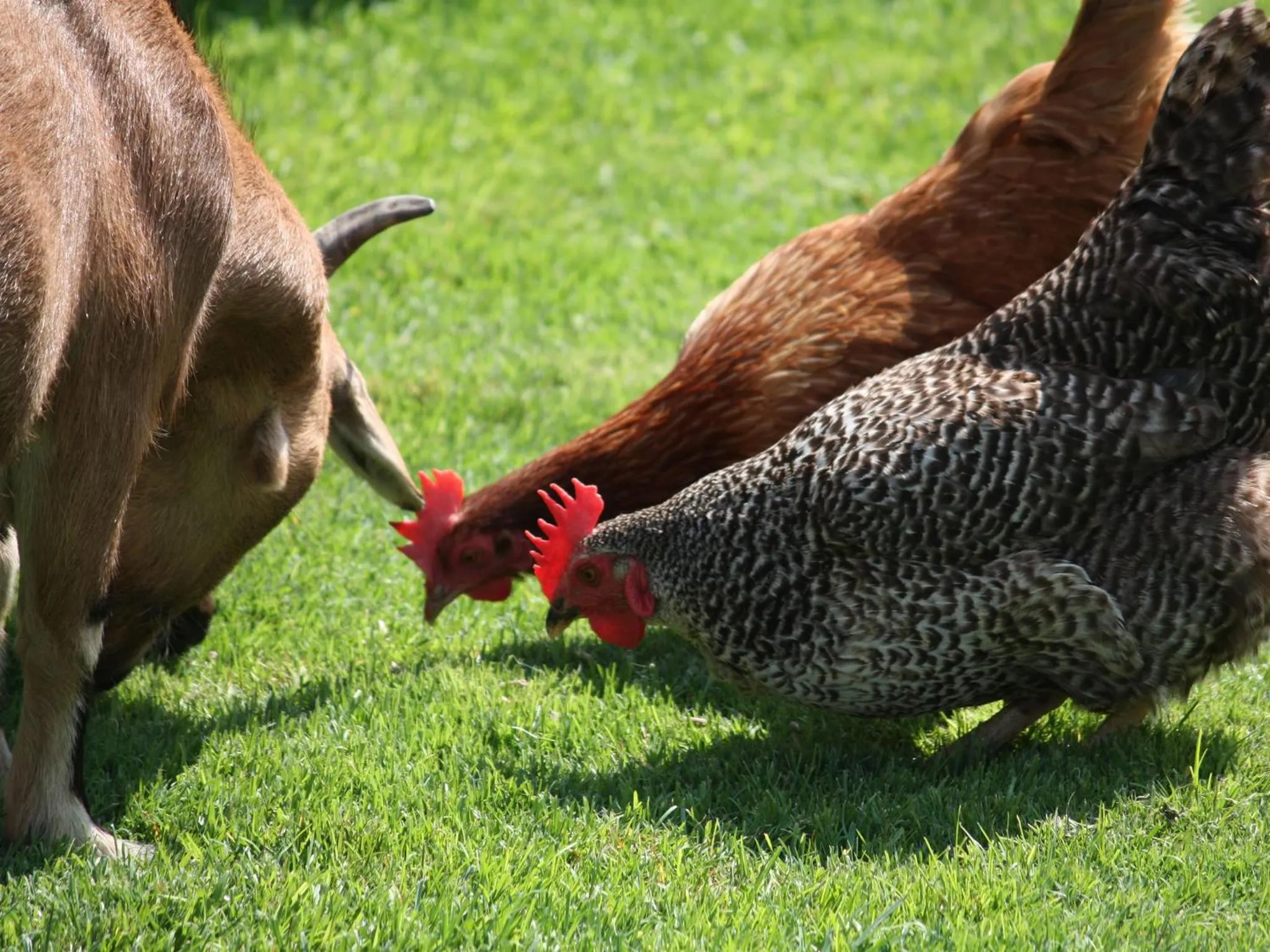 Facade/entrance in Ferienhof Stadlpoint