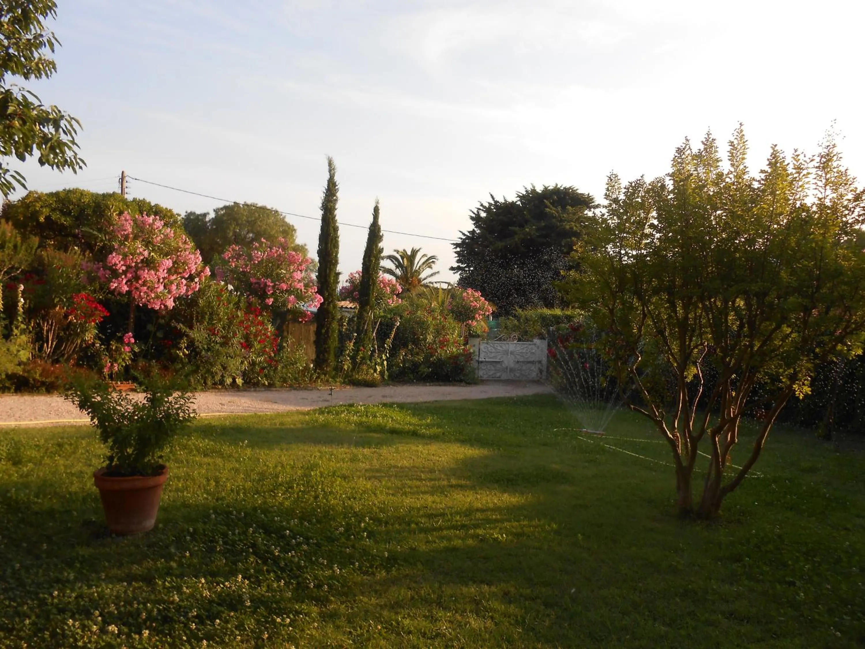 Garden in Chez Mamouska