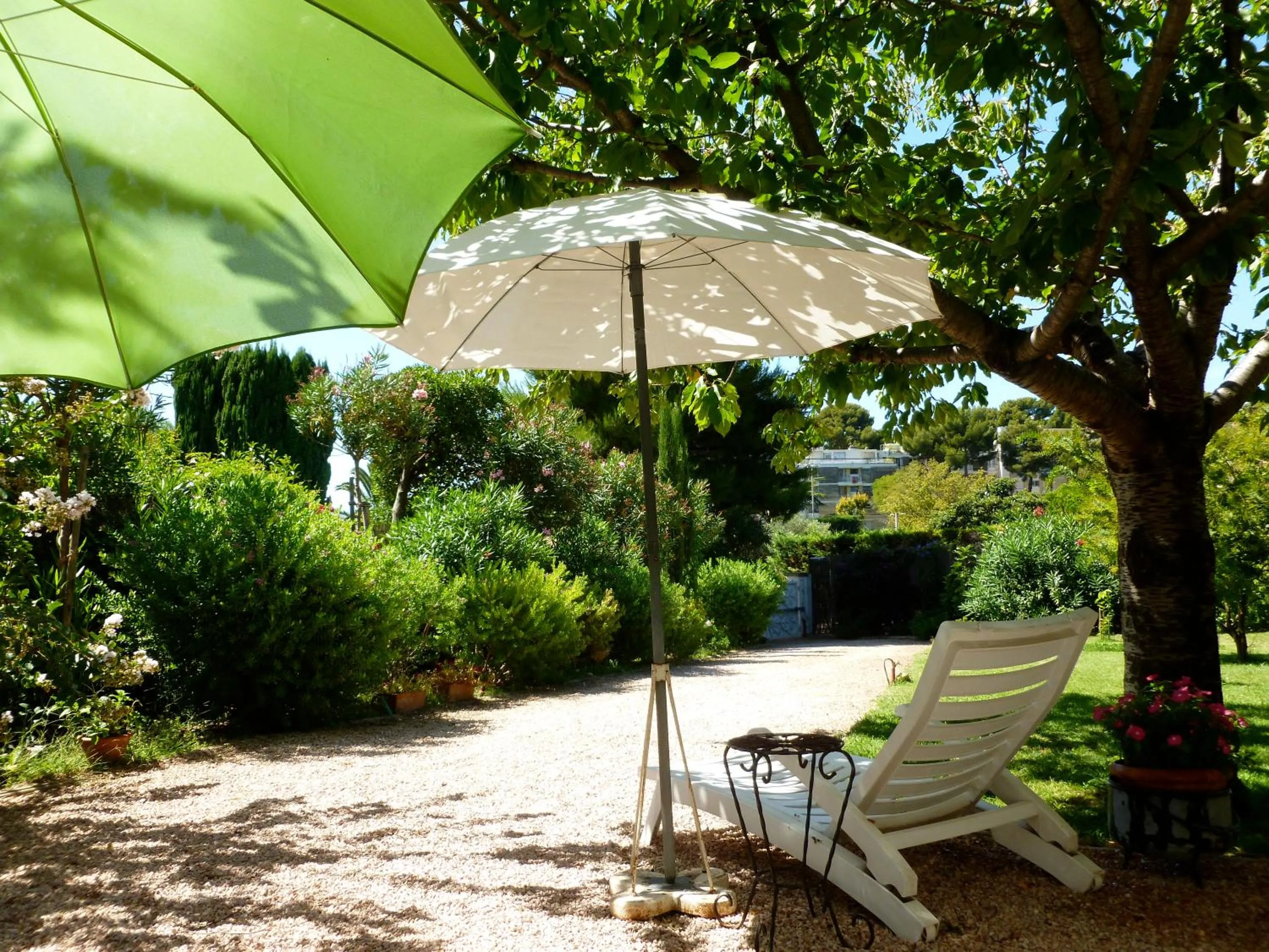 Garden in Chez Mamouska