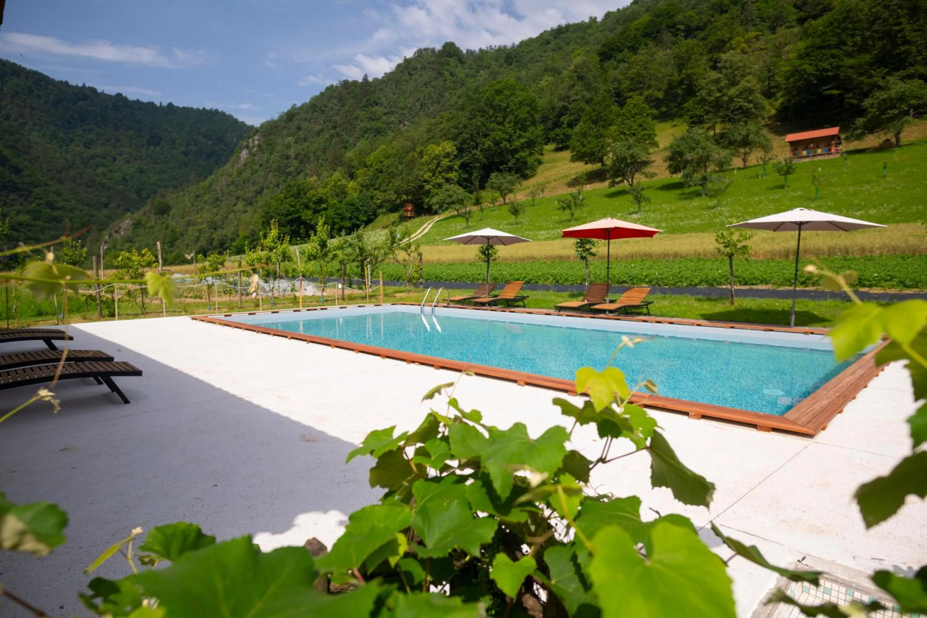 Swimming pool in Tourist Farm Zelinc