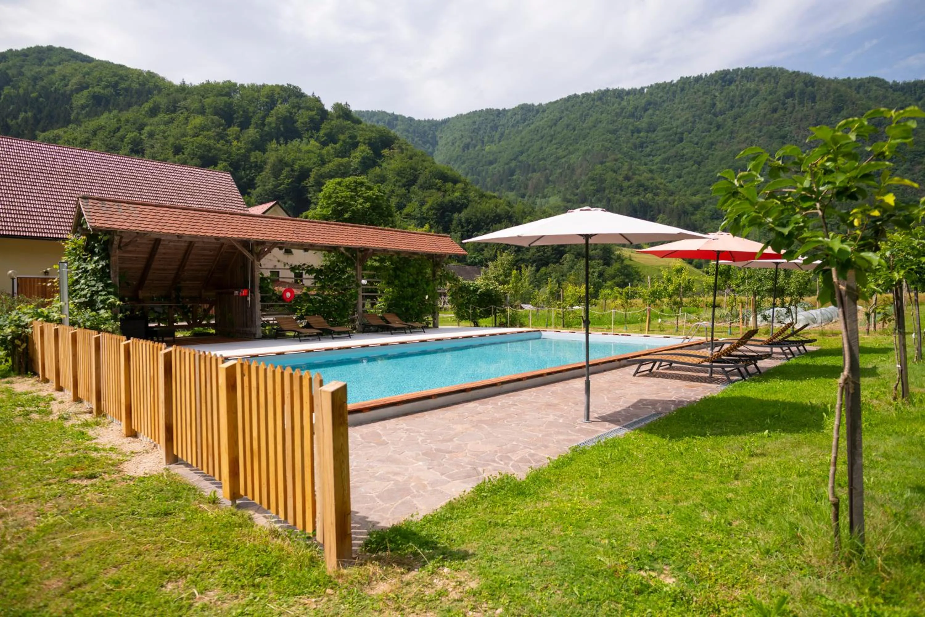 Swimming pool in Tourist Farm Zelinc