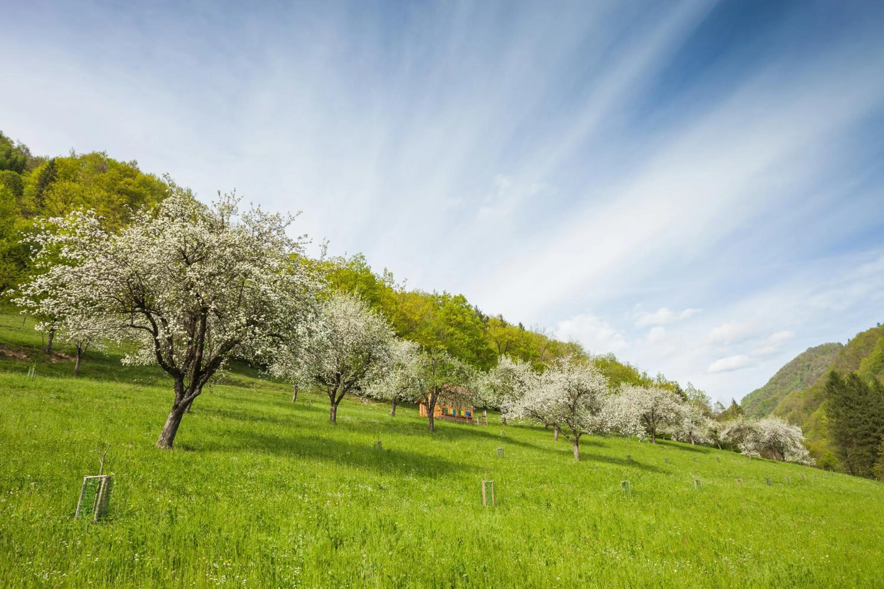 Natural landscape in Tourist Farm Zelinc