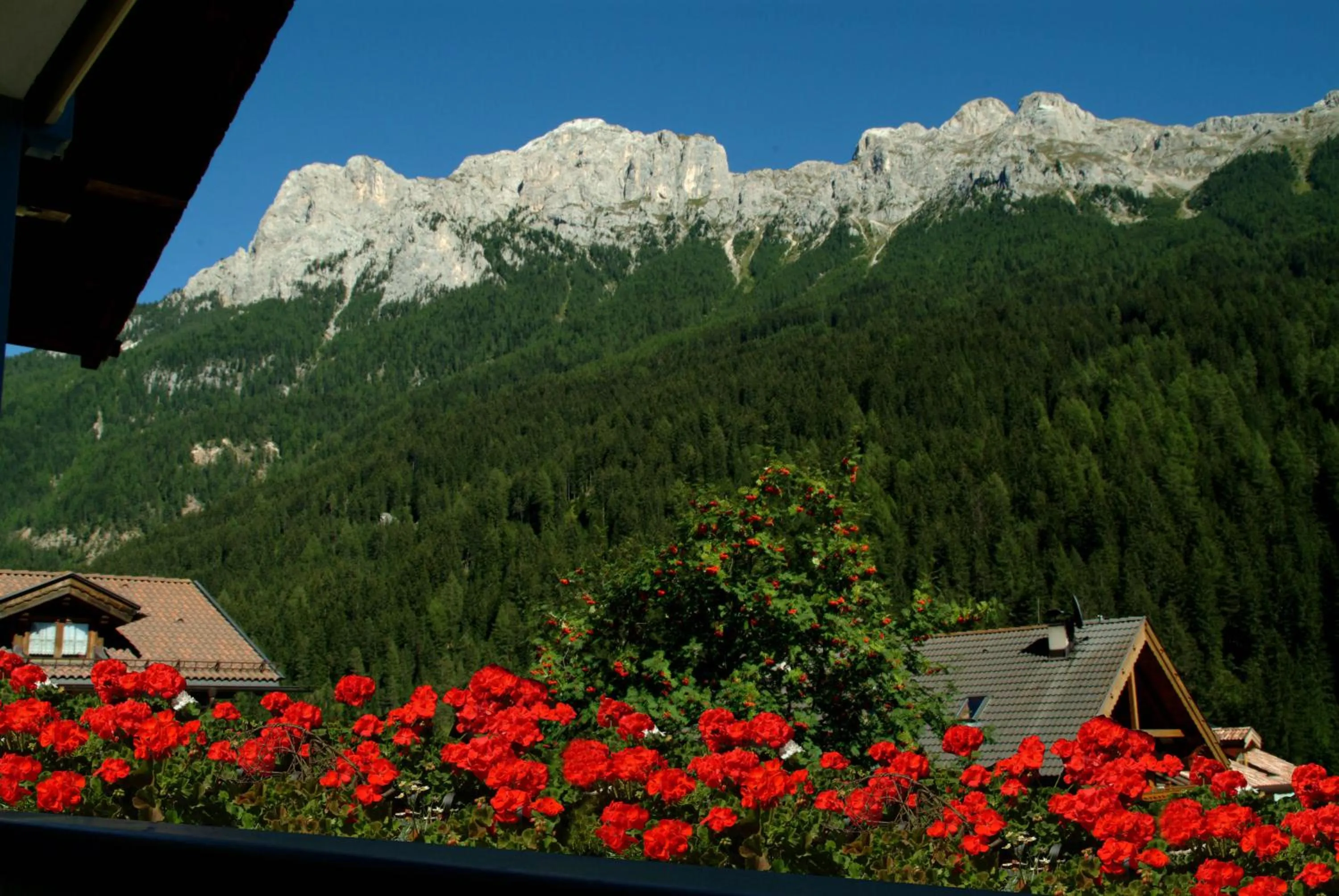 Spring in Hotel Malder