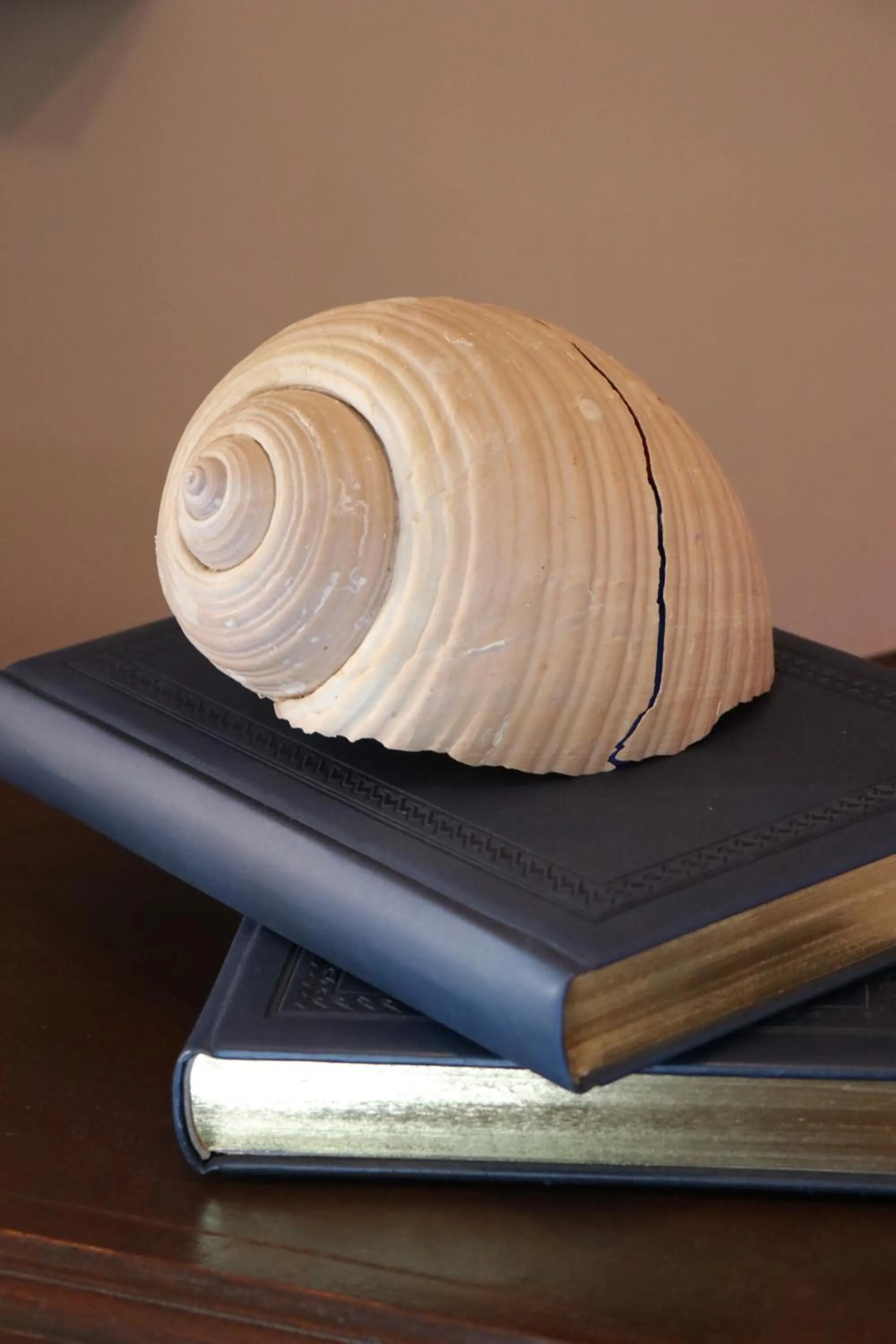 Lobby or reception in Grace Hotel & Studios