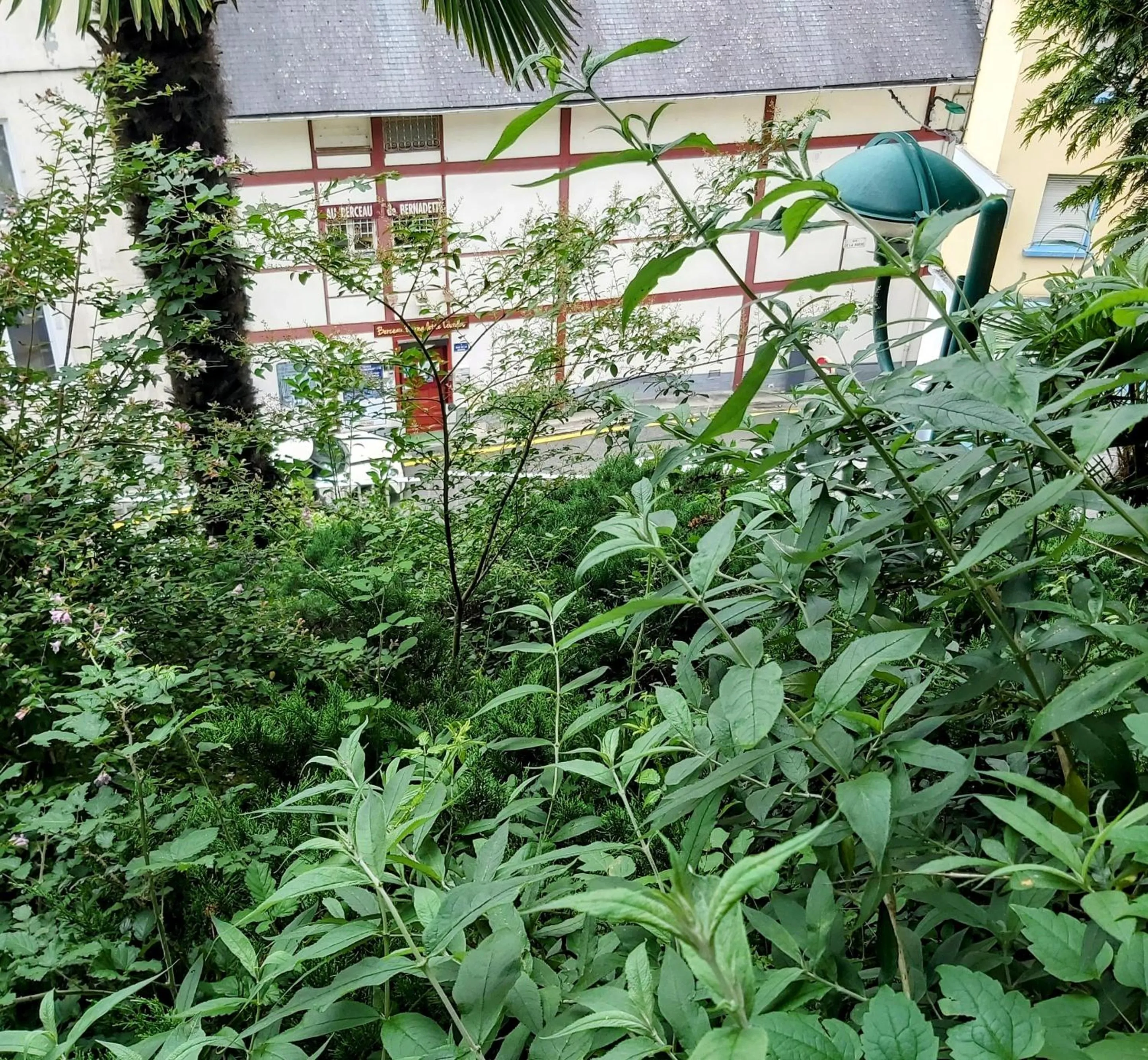 Property building in la Résidence Berceau de Bernadette - Bernadette's cradle - Near Bernadette'House