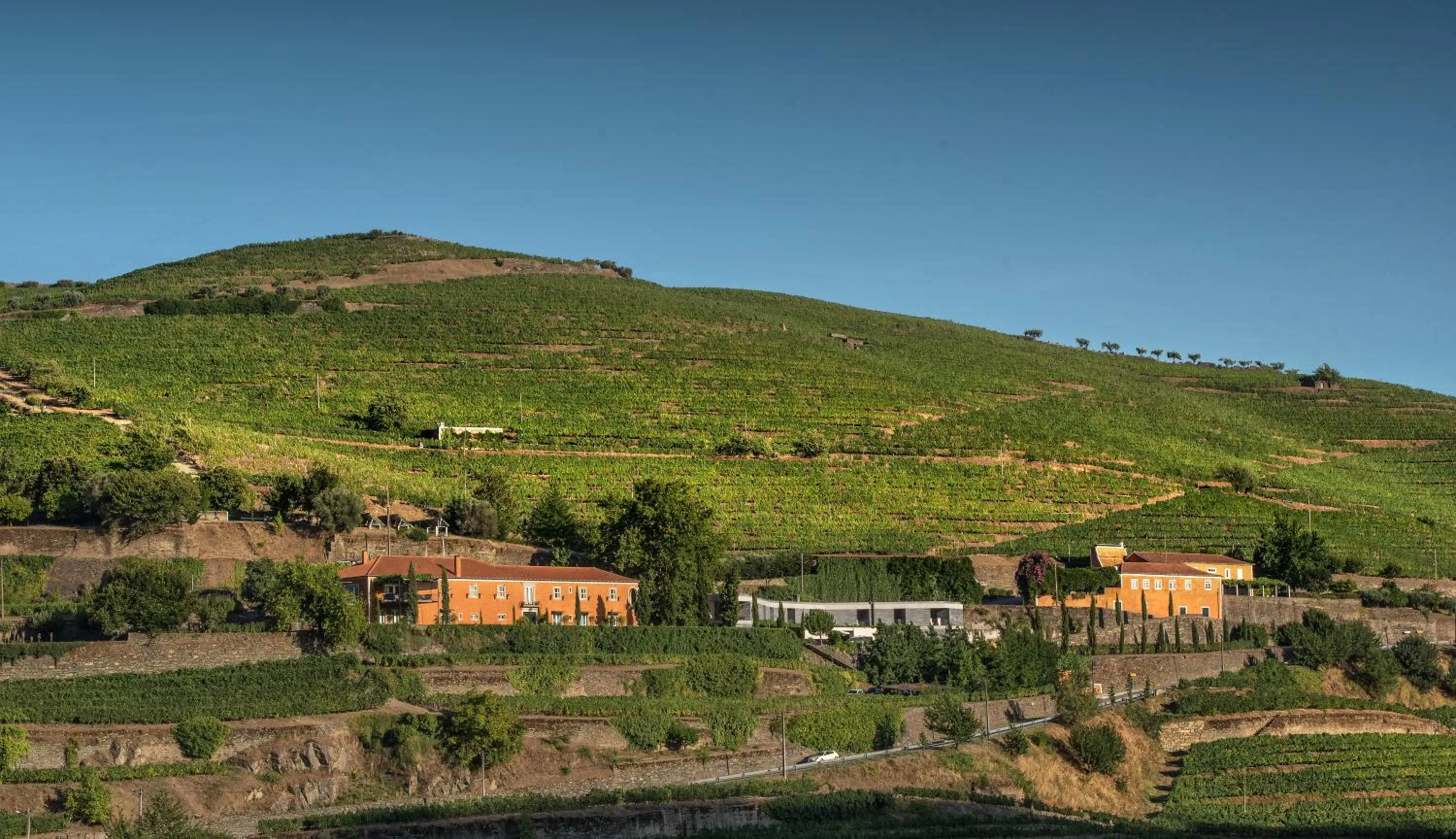 Quinta do Vallado - Douro Wine Hotel