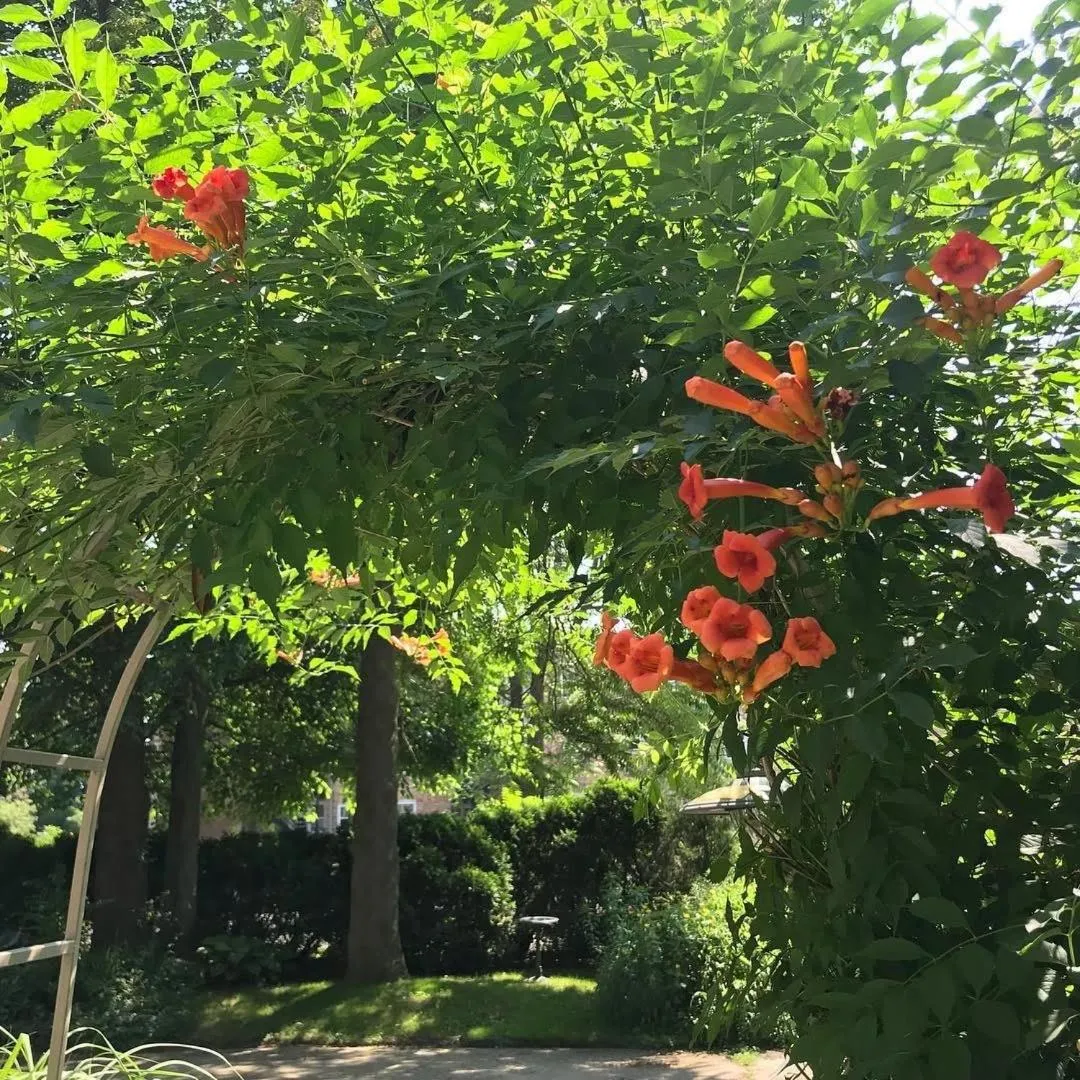 Property building in Innisfree Bed & Breakfast