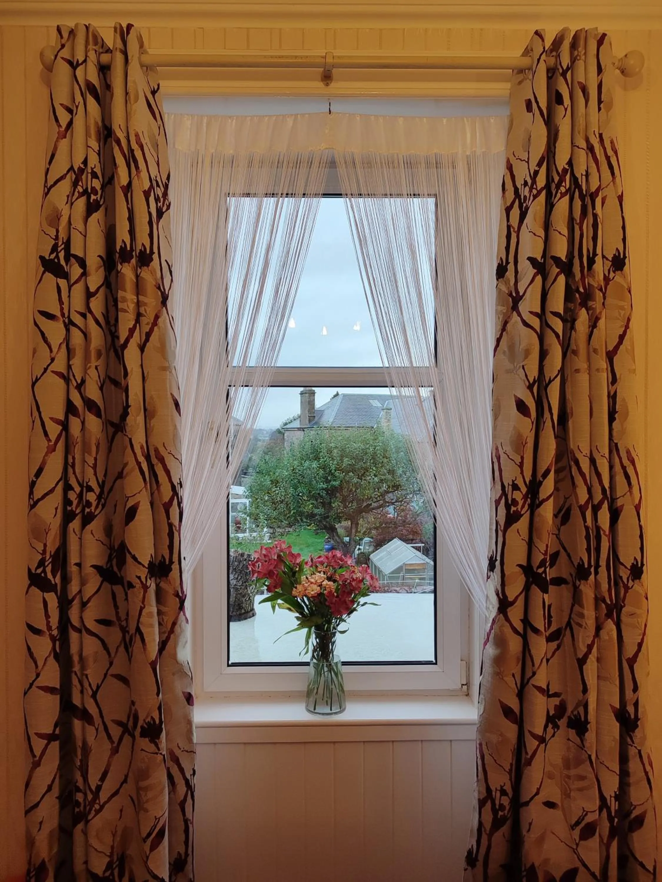 Garden view in Dunallan Guest House