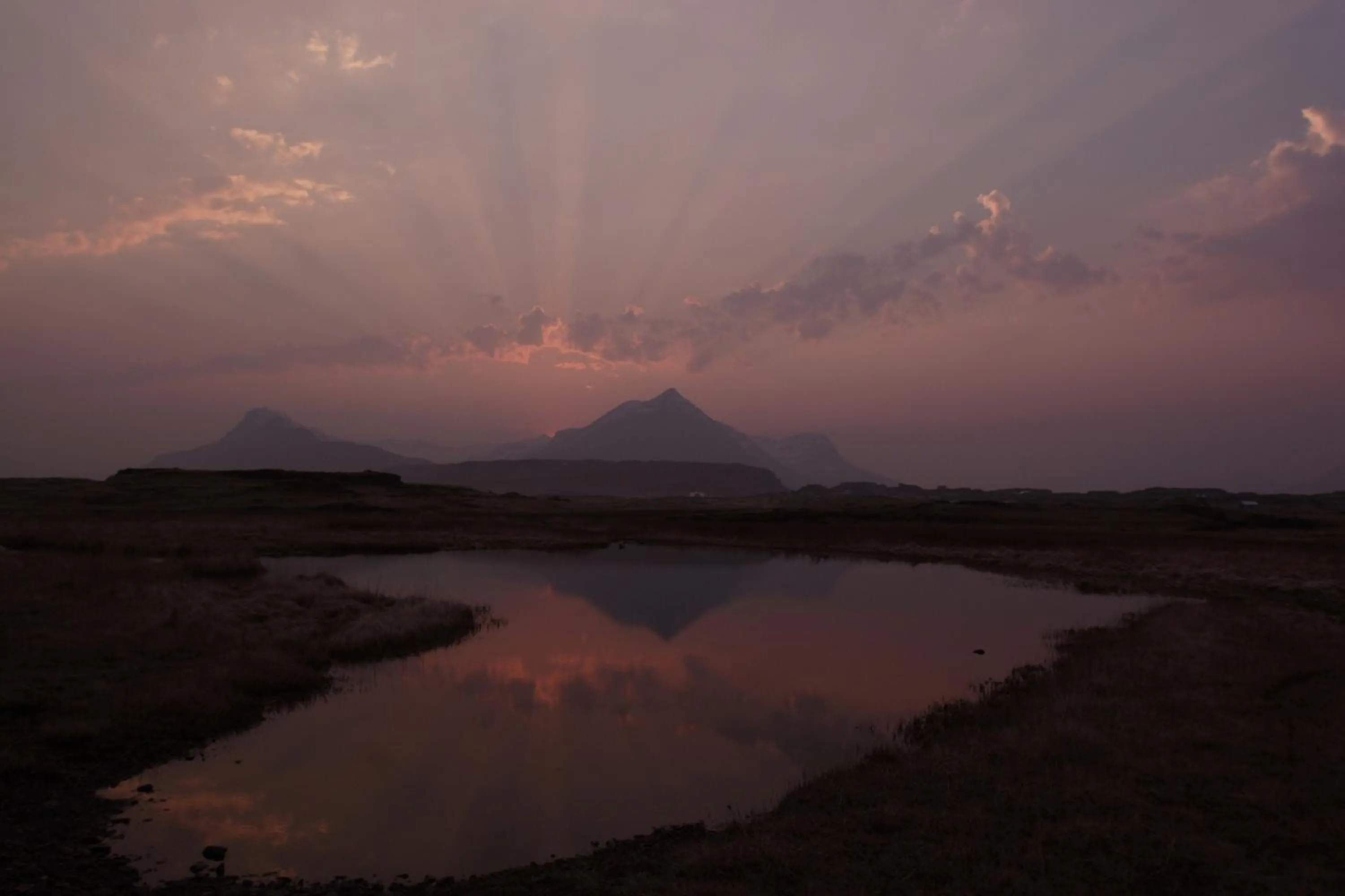 Area and facilities in Hotel Framtid