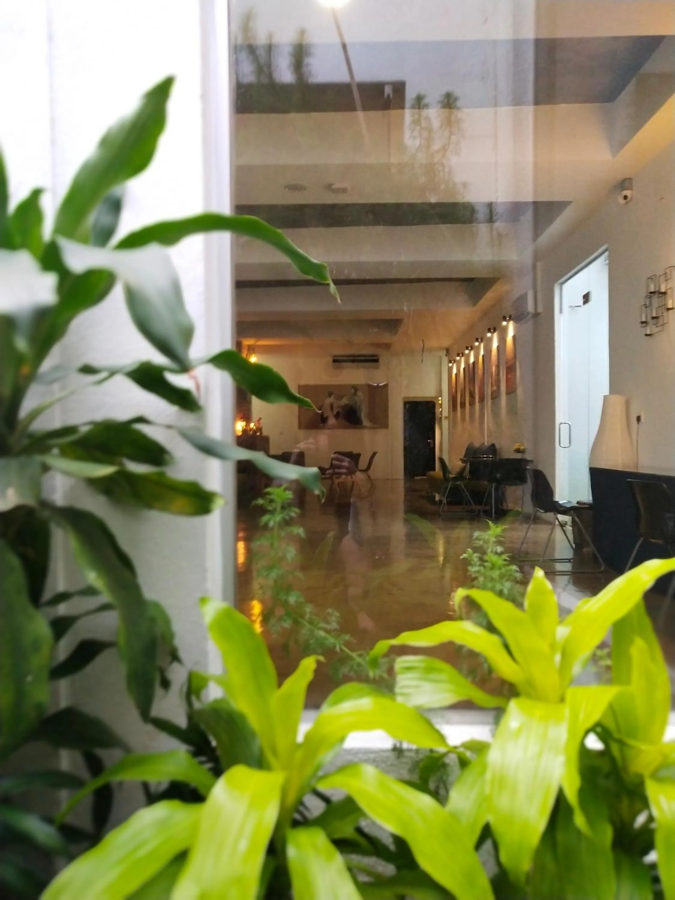 Garden view in Beds In Garden Hostel