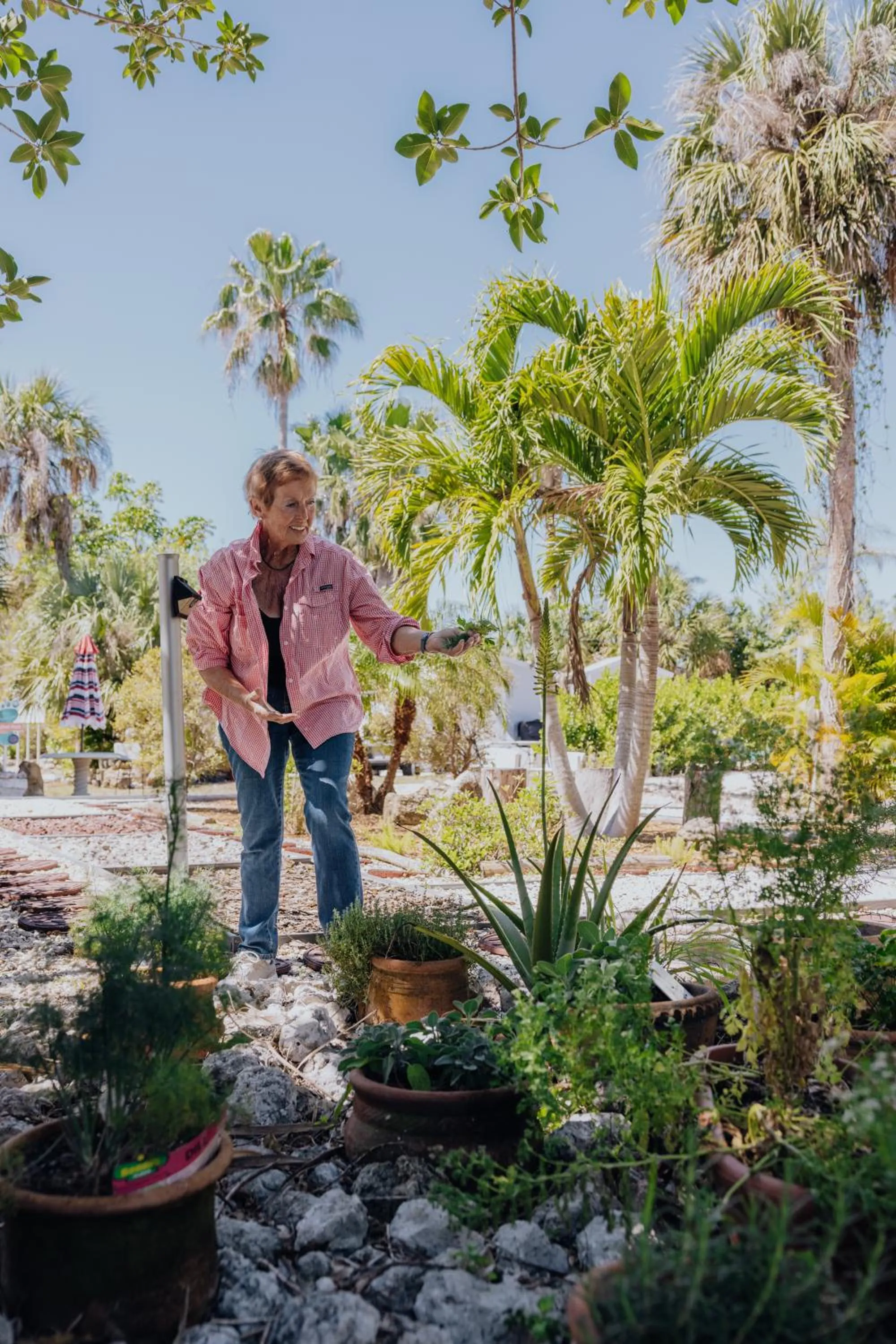 People in Pyramids in Florida