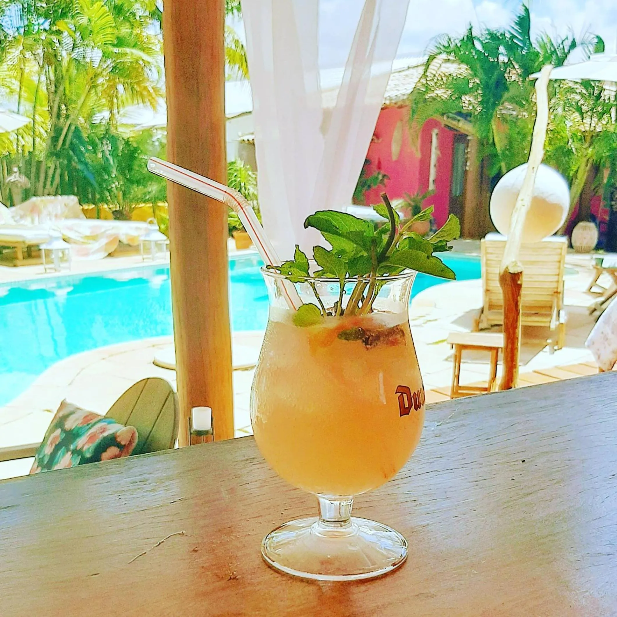 Alcoholic drinks in Guest House Villa 2 Santos