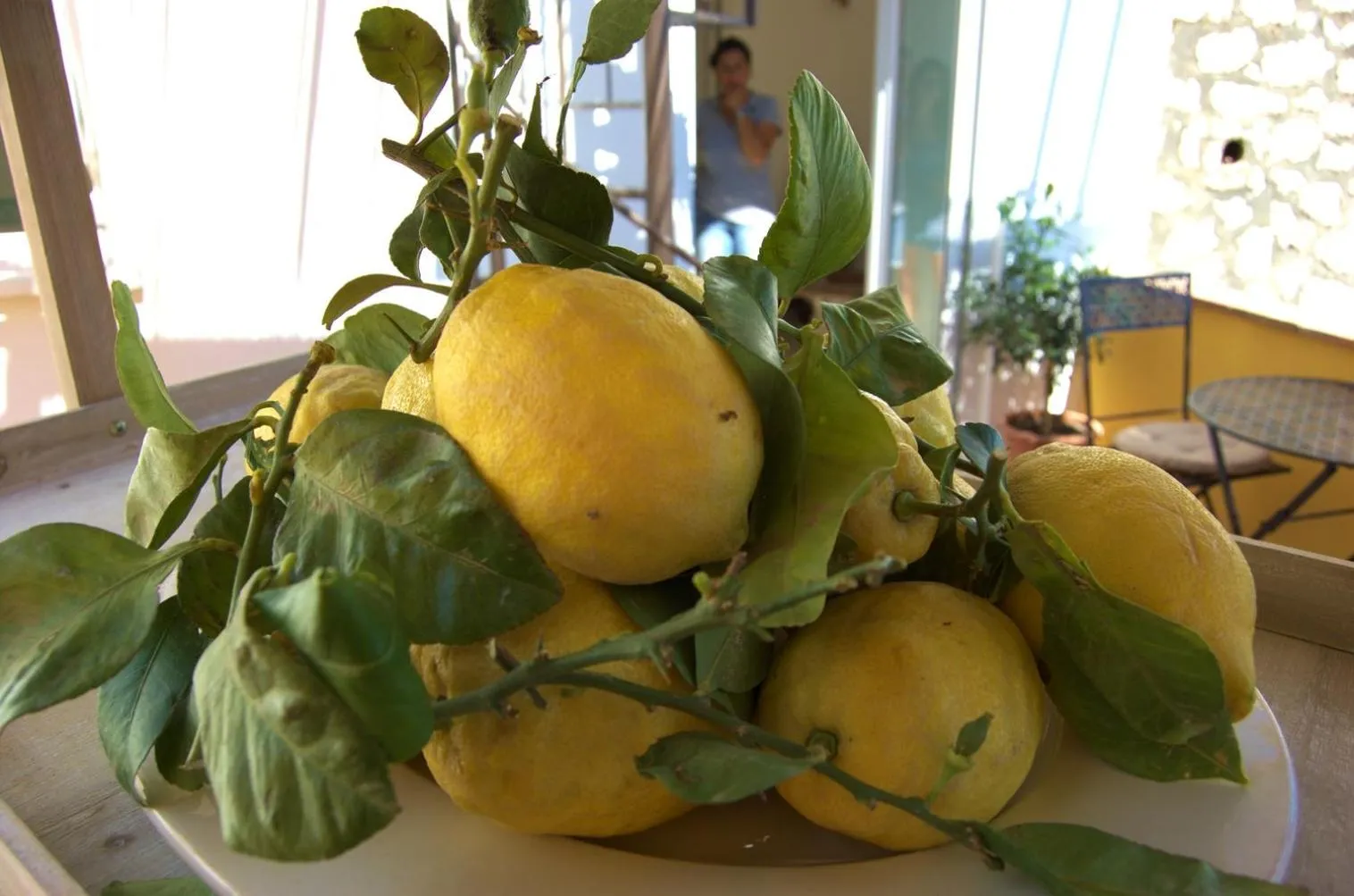 La Terrazza sul Mare