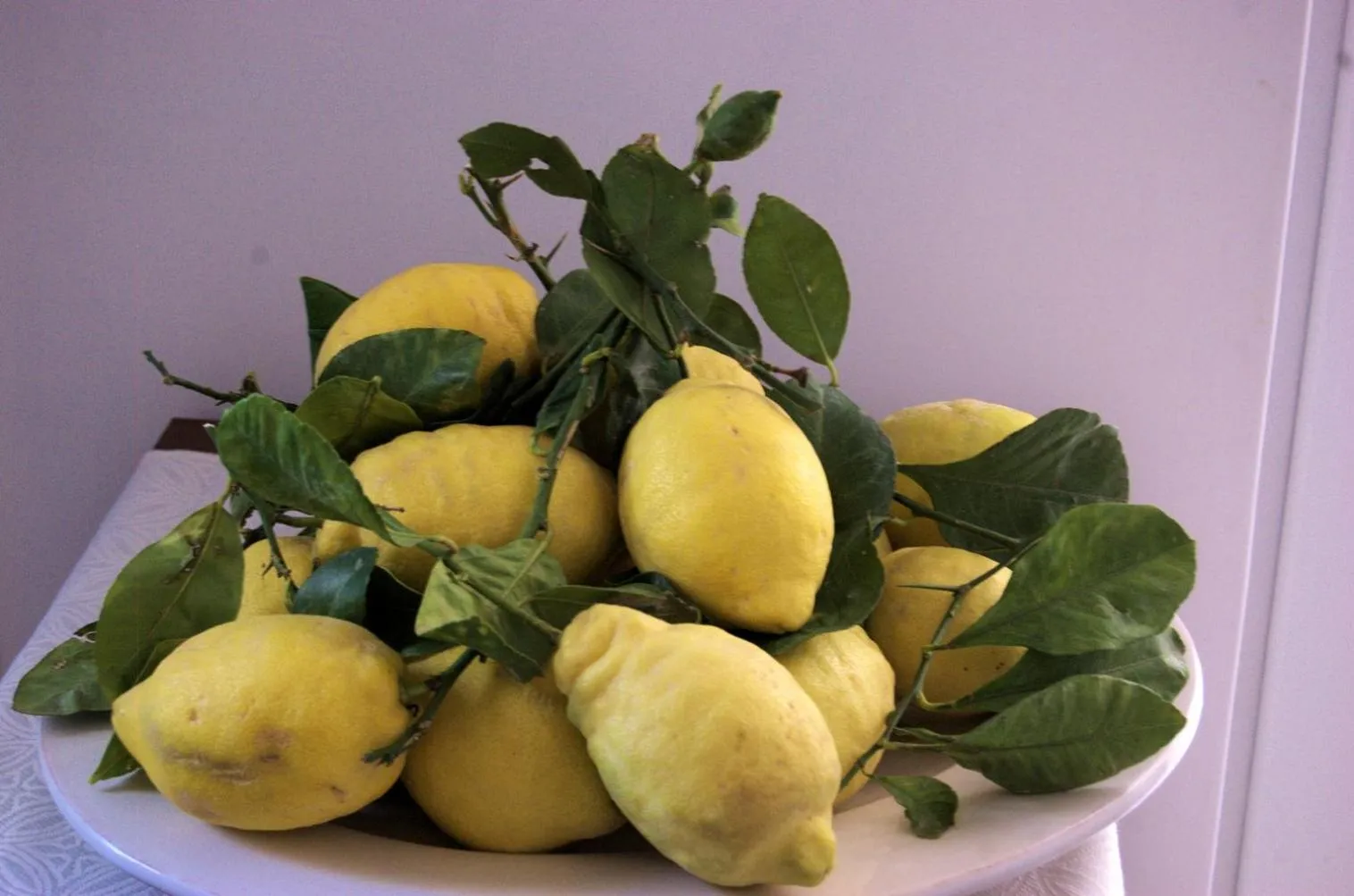 La Terrazza sul Mare