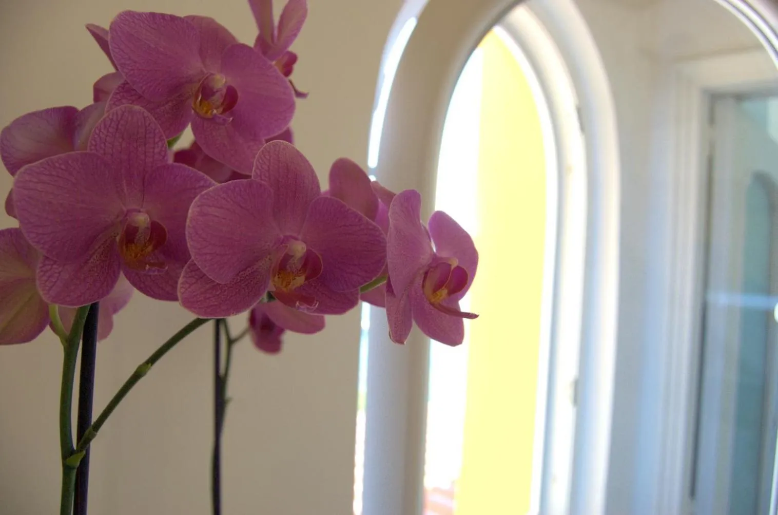 La Terrazza sul Mare