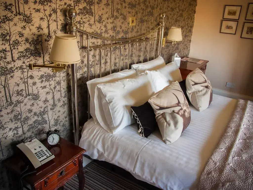 Superior Double Room - single occupancy in Eslington Villa Superior Double Room - single occupancy in Eslington Villa