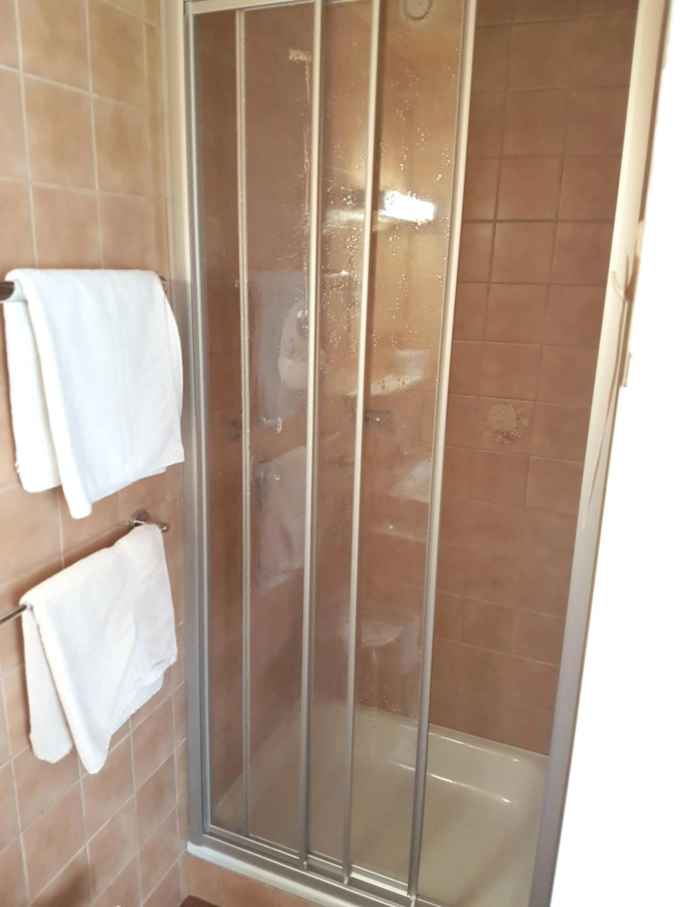 Shower in Haus Gröblacher