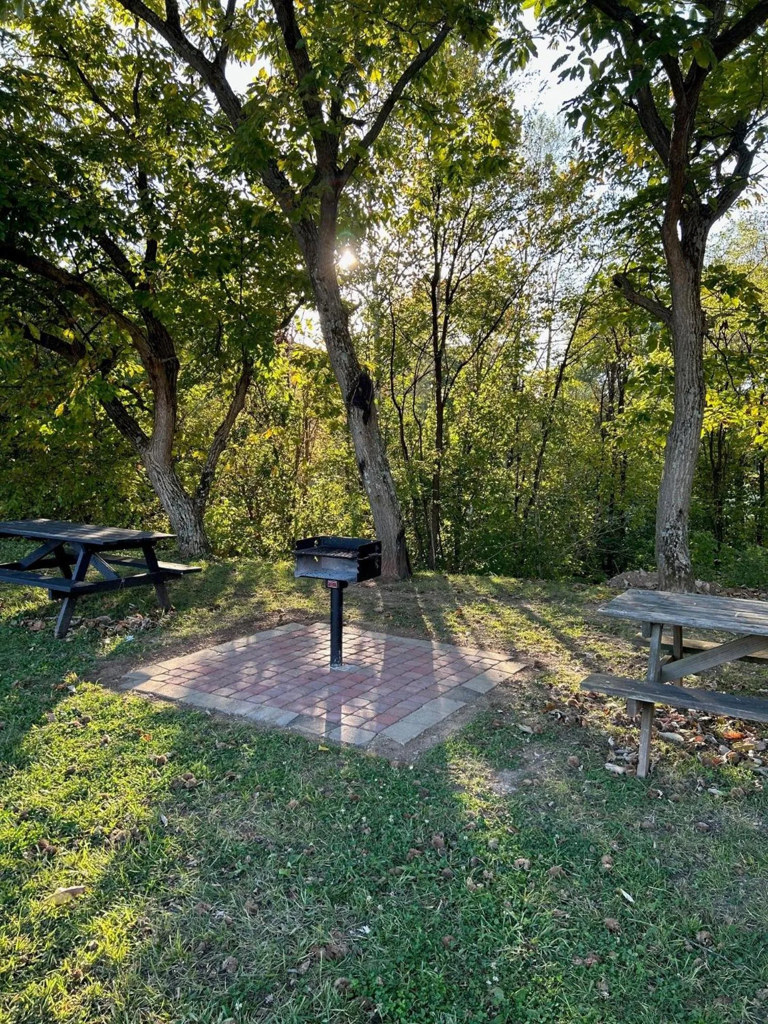 Area and facilities in McCoy's Inn