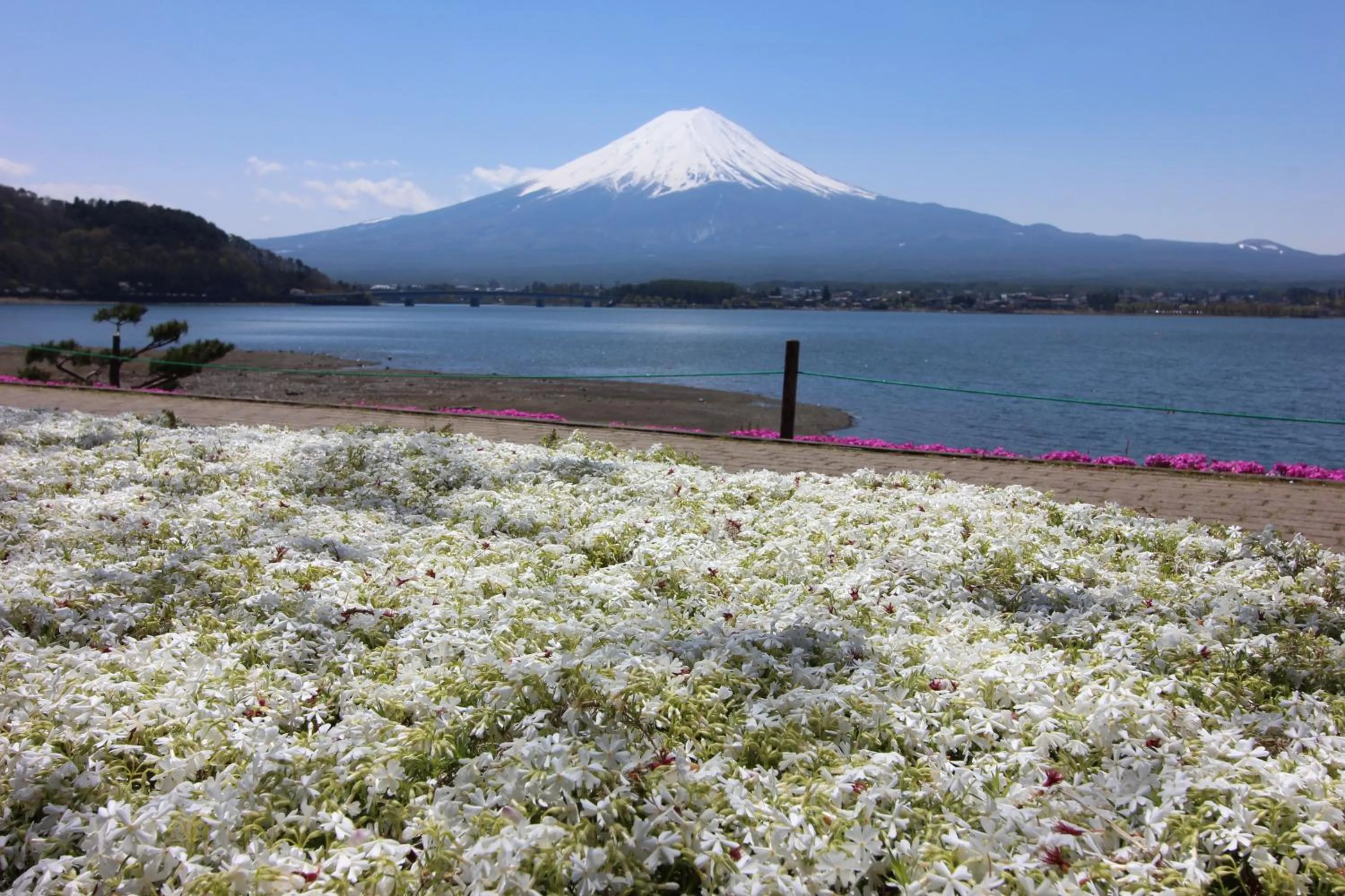 Area and facilities in Ururun Kawaguchiko