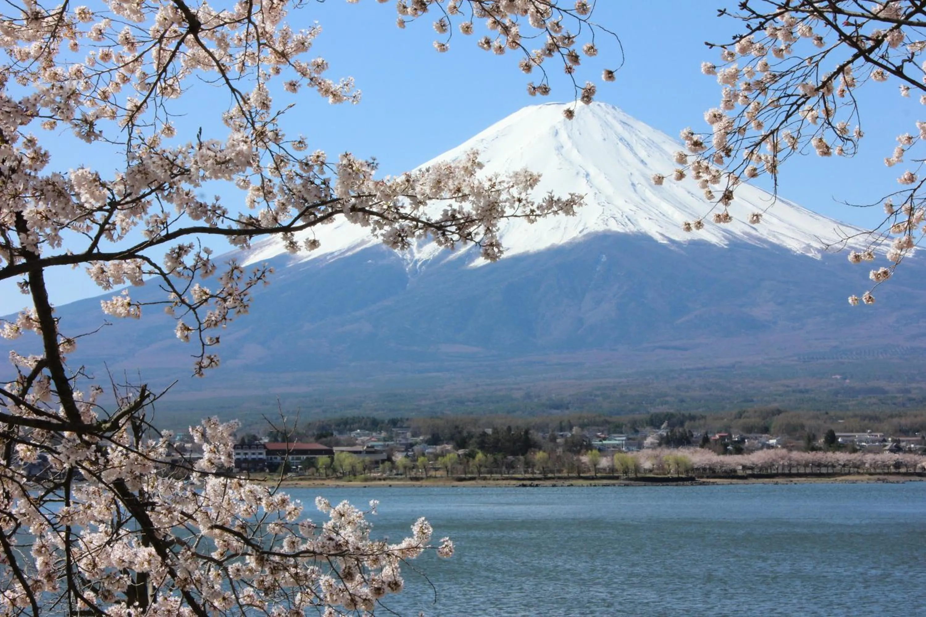 Area and facilities in Ururun Kawaguchiko