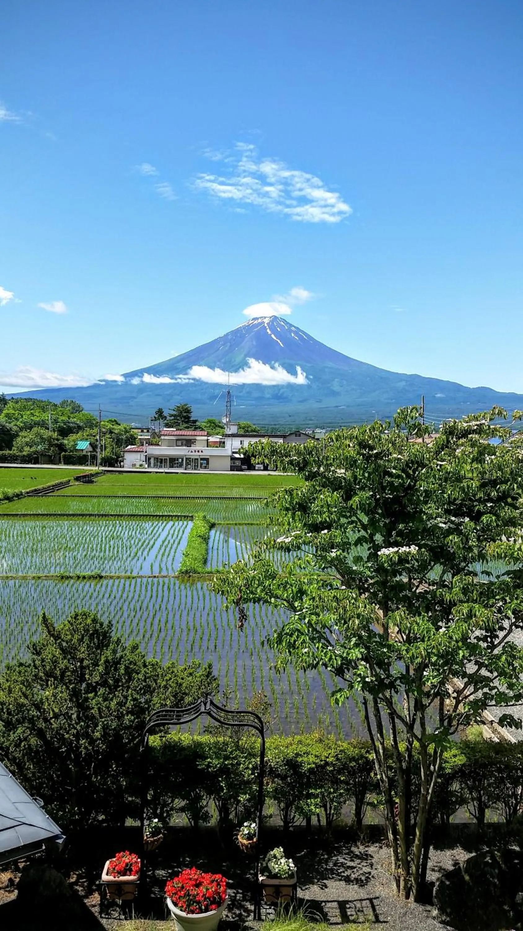 Mountain view in Ururun Kawaguchiko