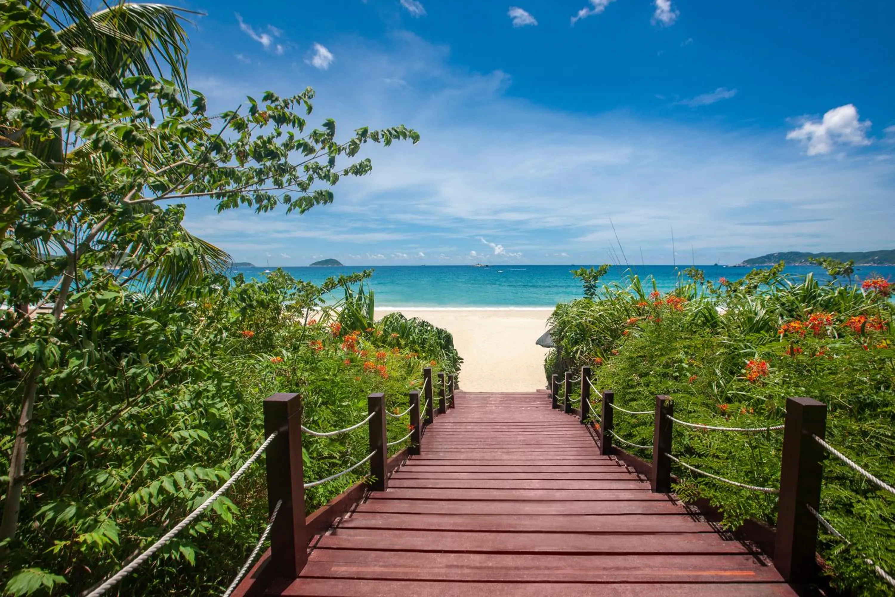 Beach in Yalong Bay Mangrove Tree Resort