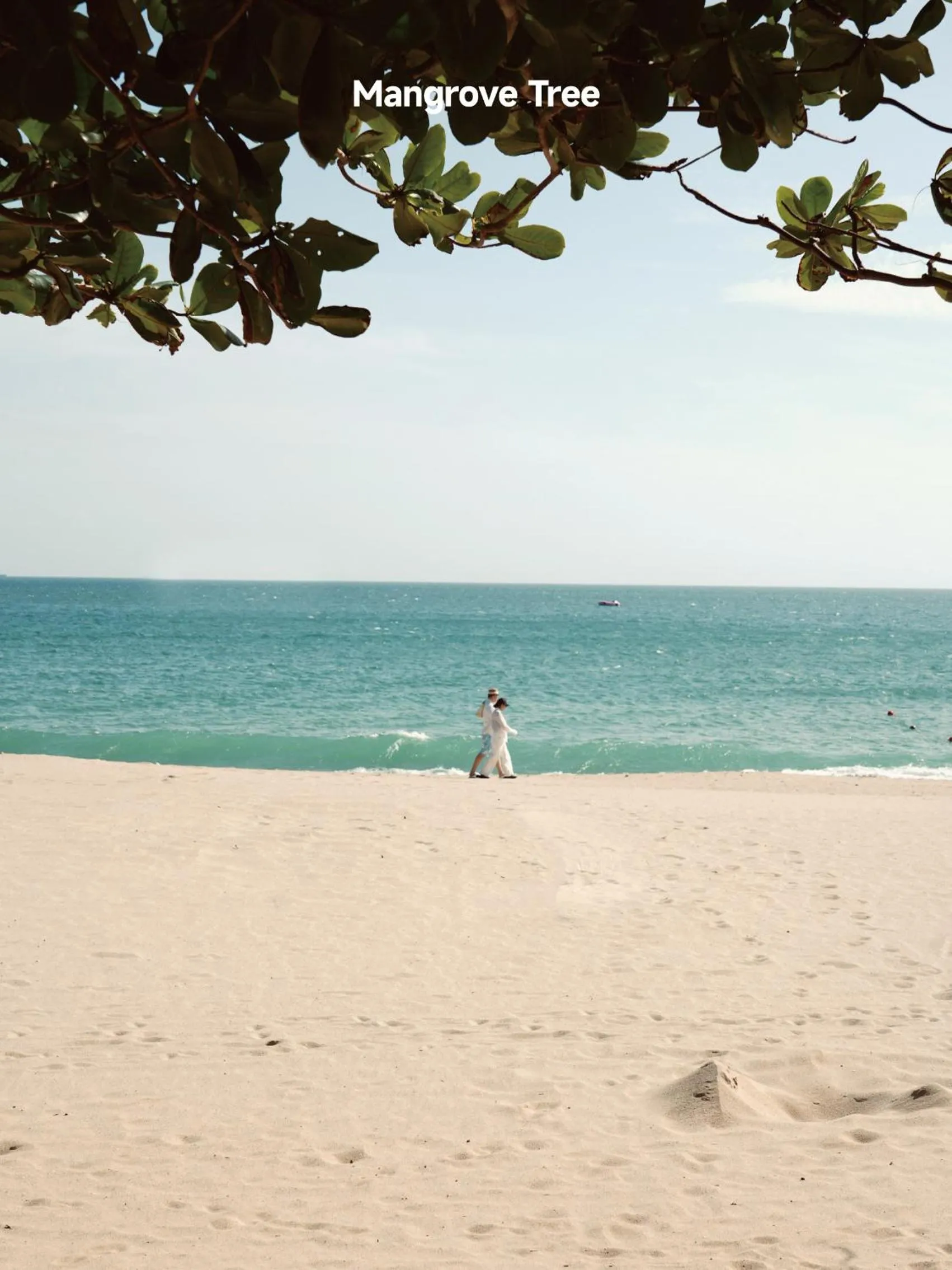 Yalong Bay Mangrove Tree Resort