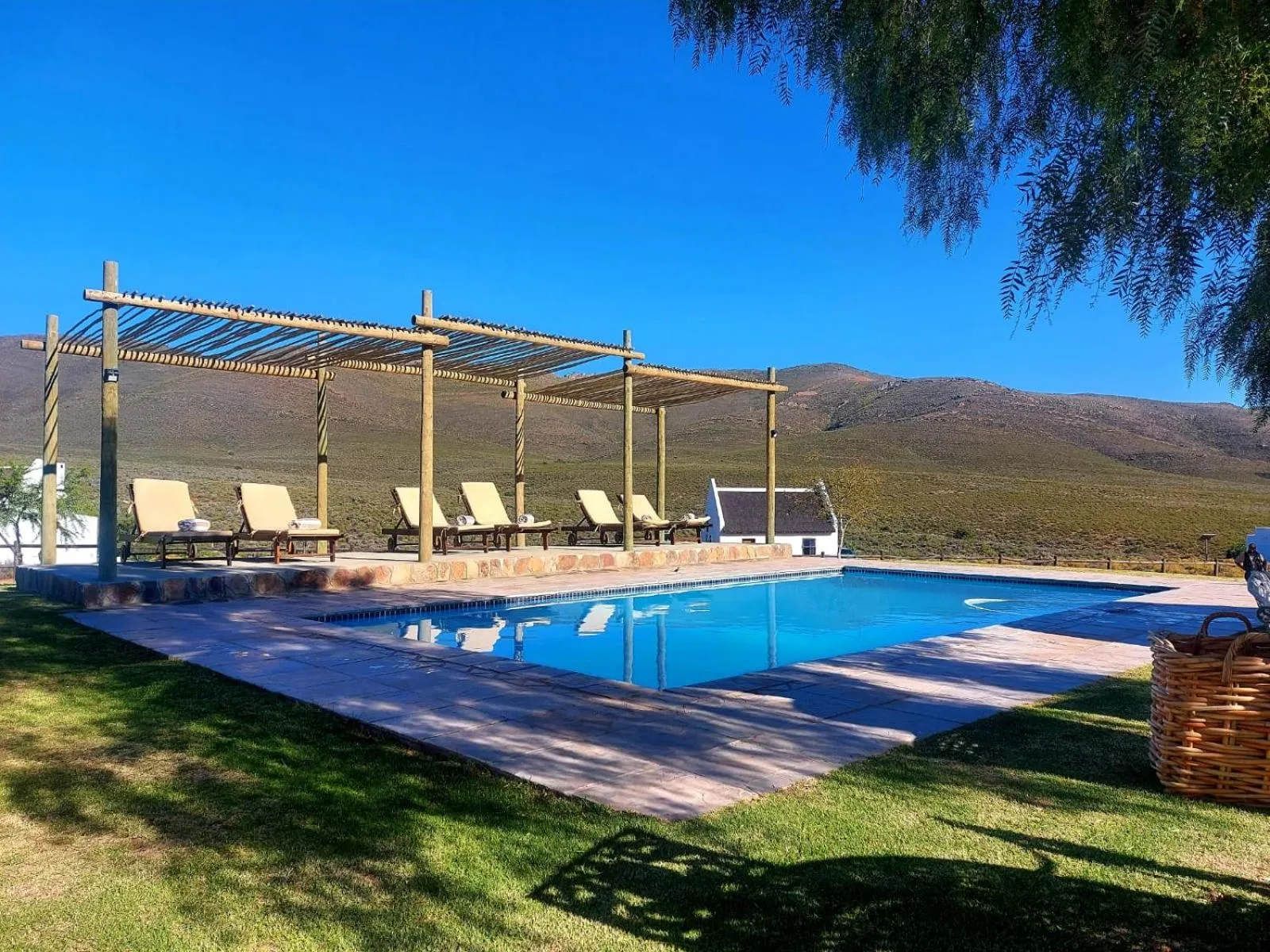 Swimming pool in African Game Lodge