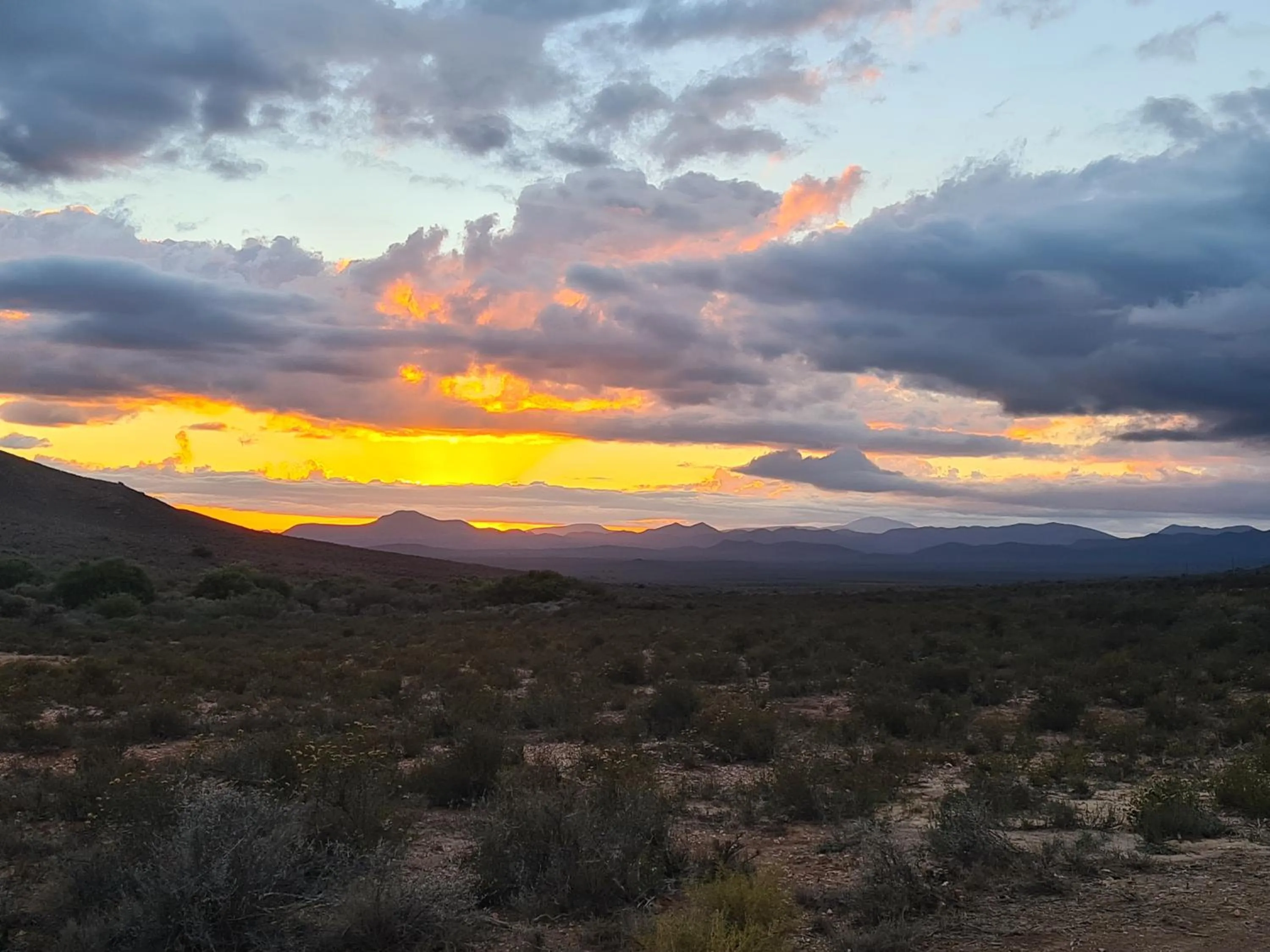 View (from property/room) in African Game Lodge