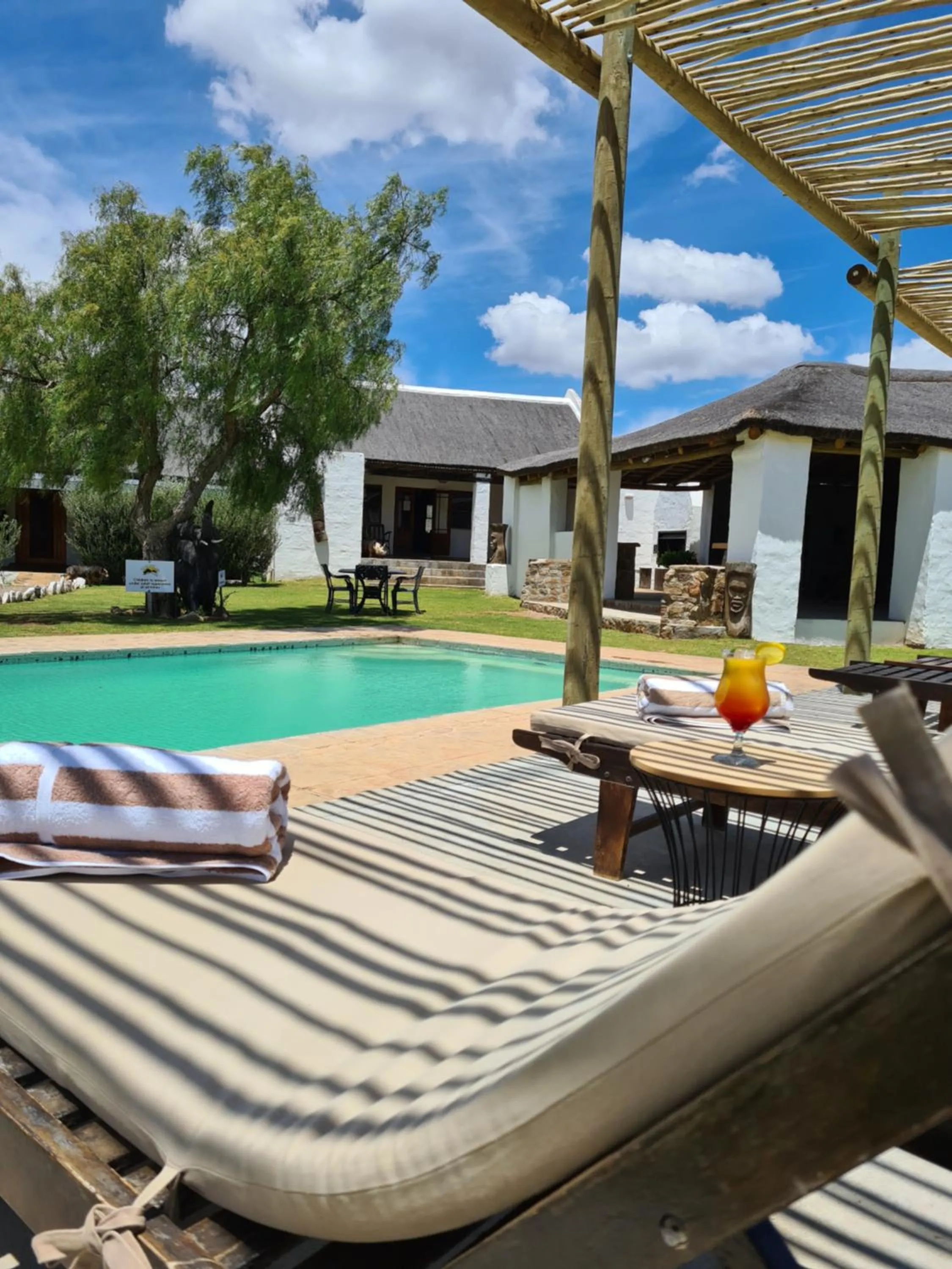 Swimming pool in African Game Lodge