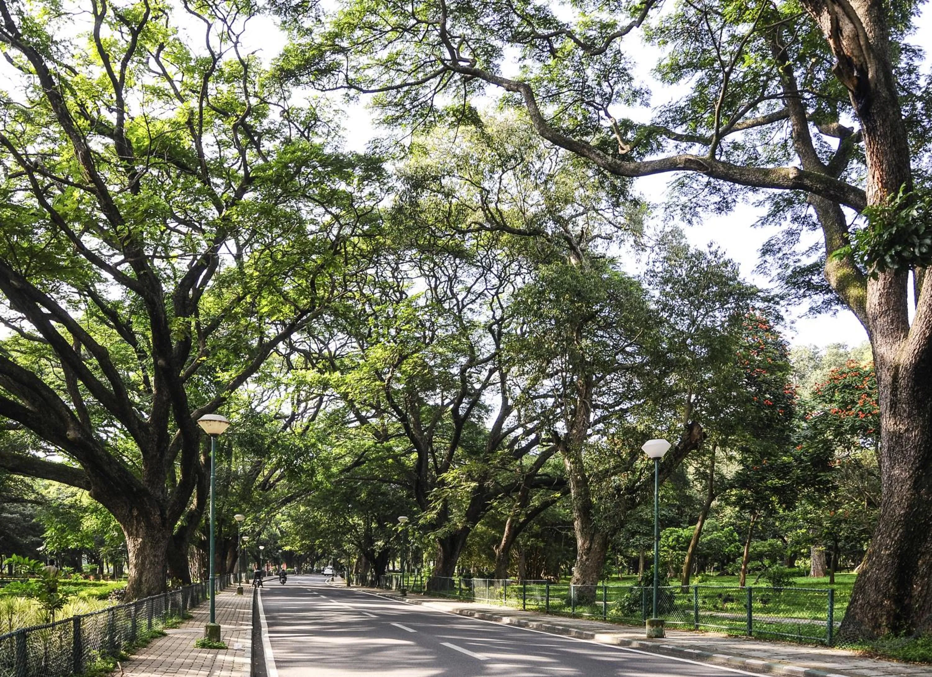 Nearby landmark in ibis Bengaluru Hosur Road - An Accor Brand