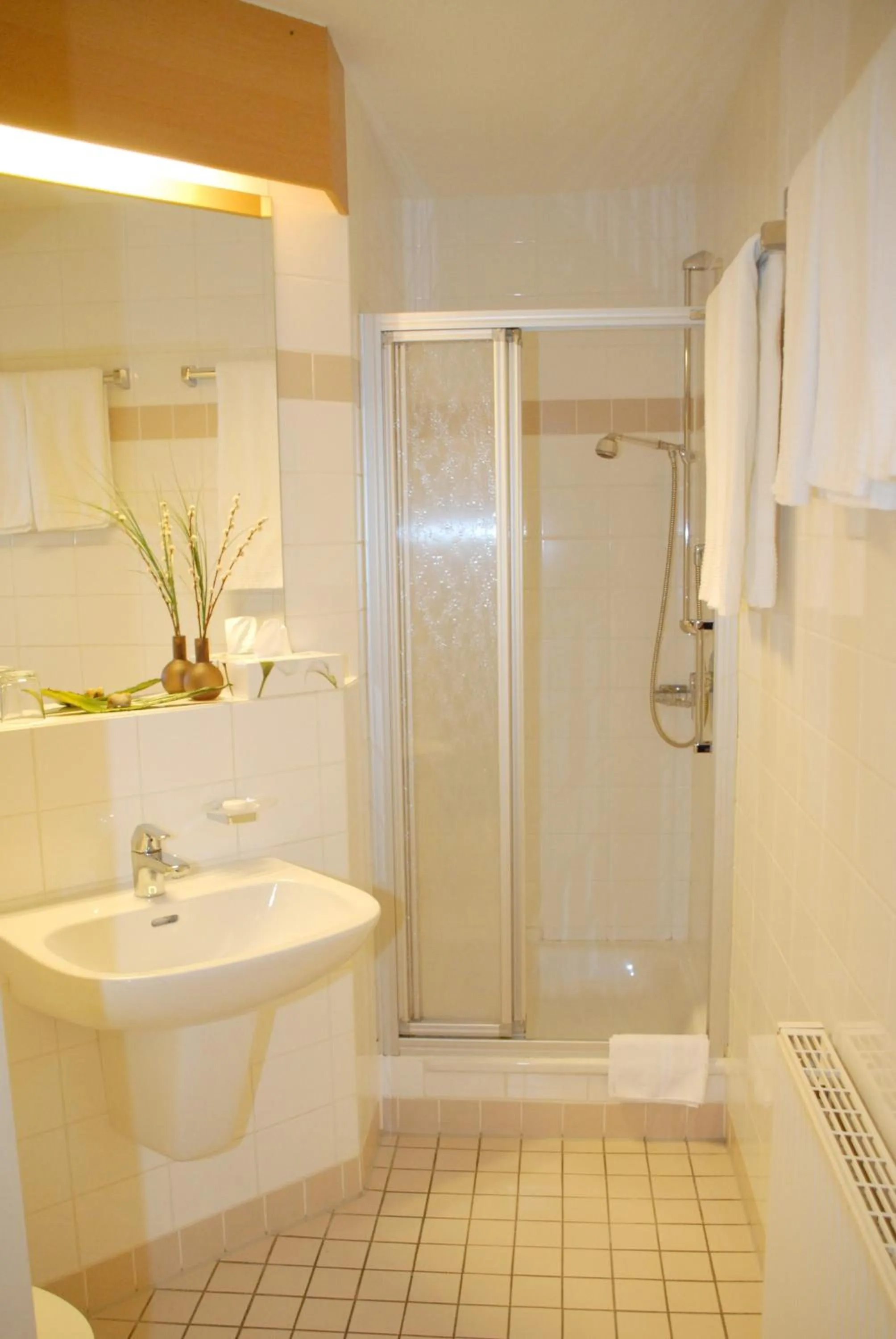 Shower in Altstadt Hotel Meppen