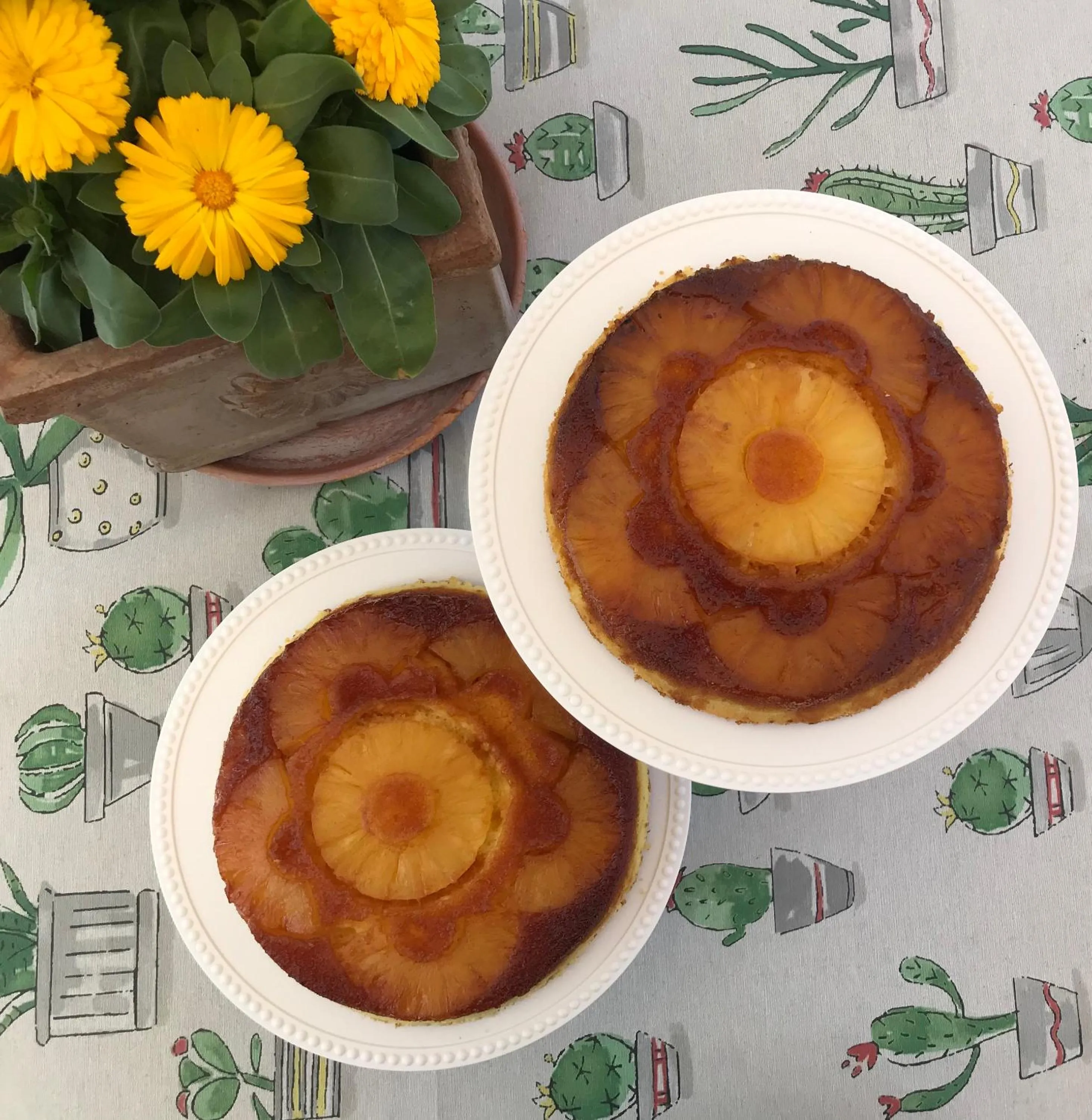 Food and drinks in aMarti Suites B&B