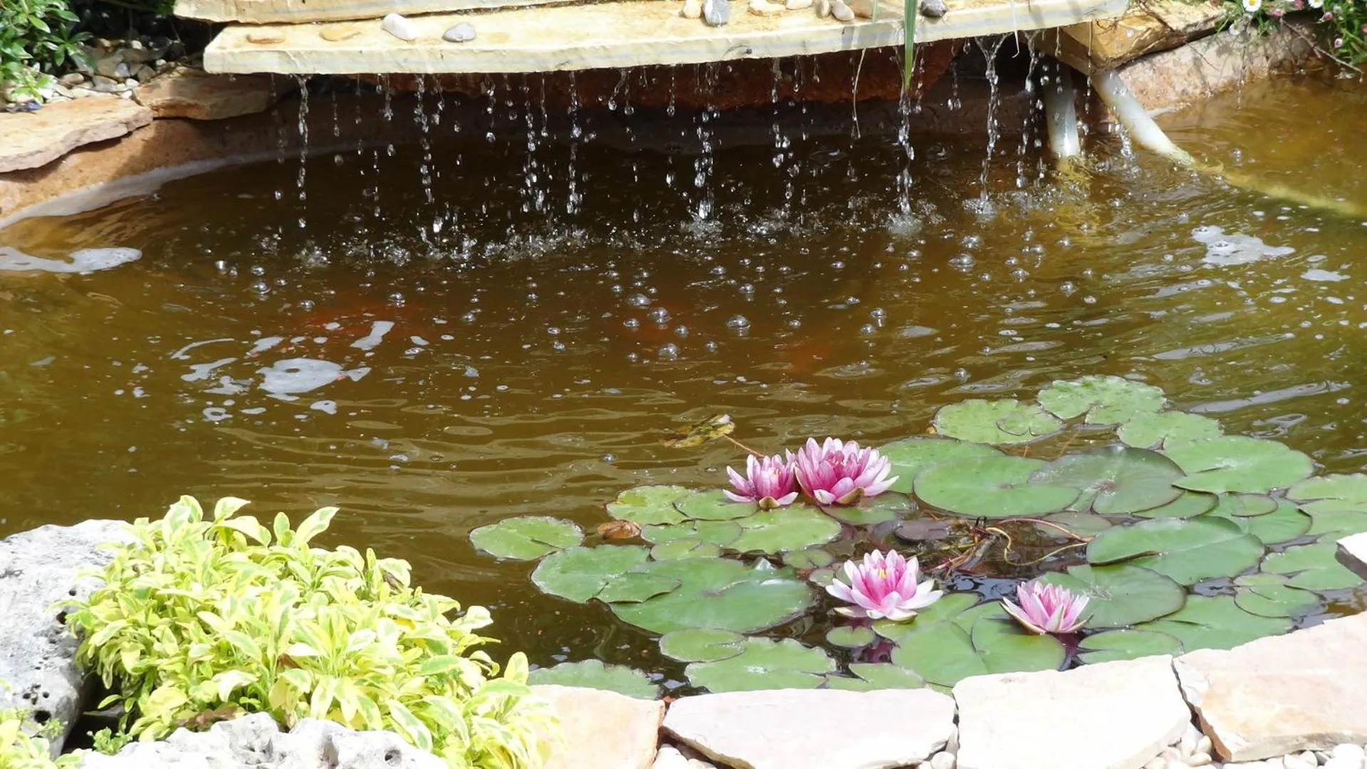 Other in Bed and Breakfast La Casetta