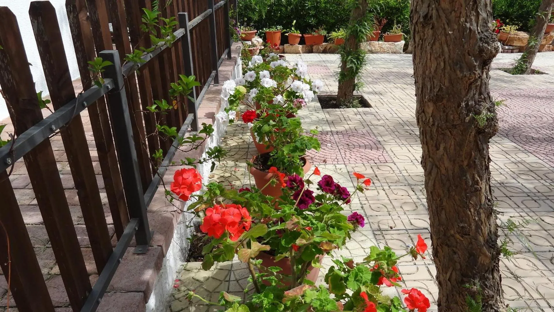 Day in Bed and Breakfast La Casetta