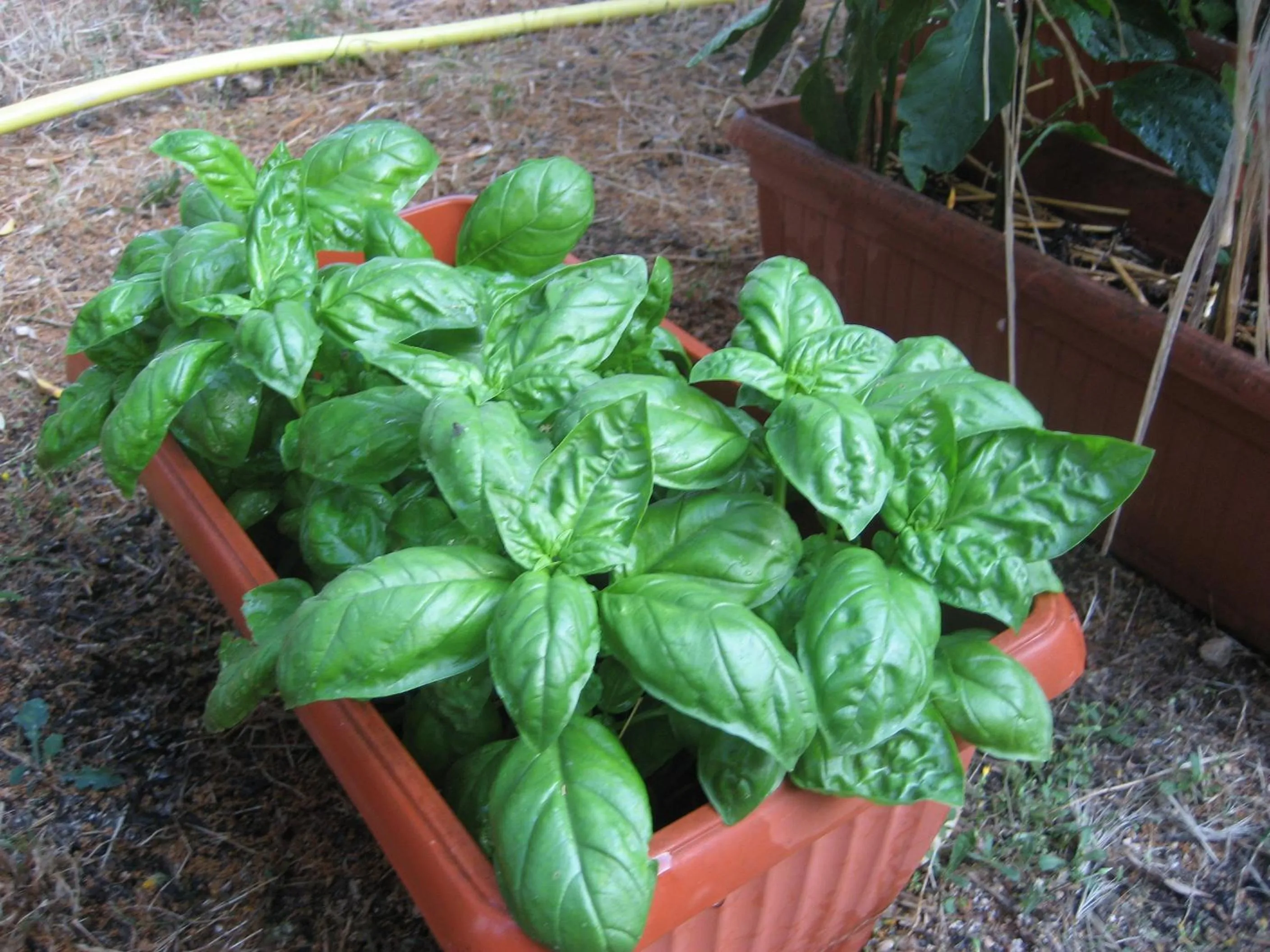 Bed and Breakfast La Casetta