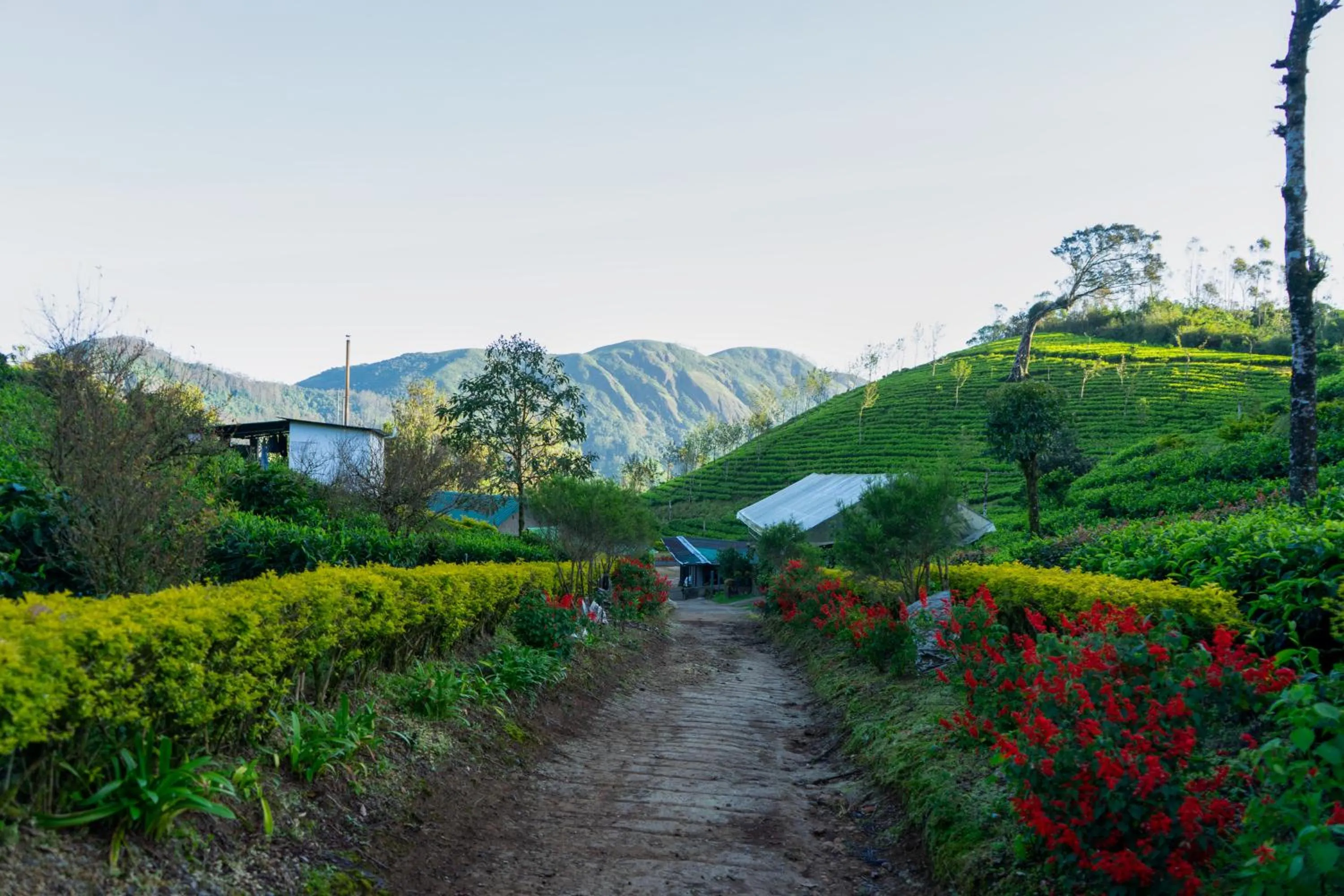 Property building in Camelot Resort