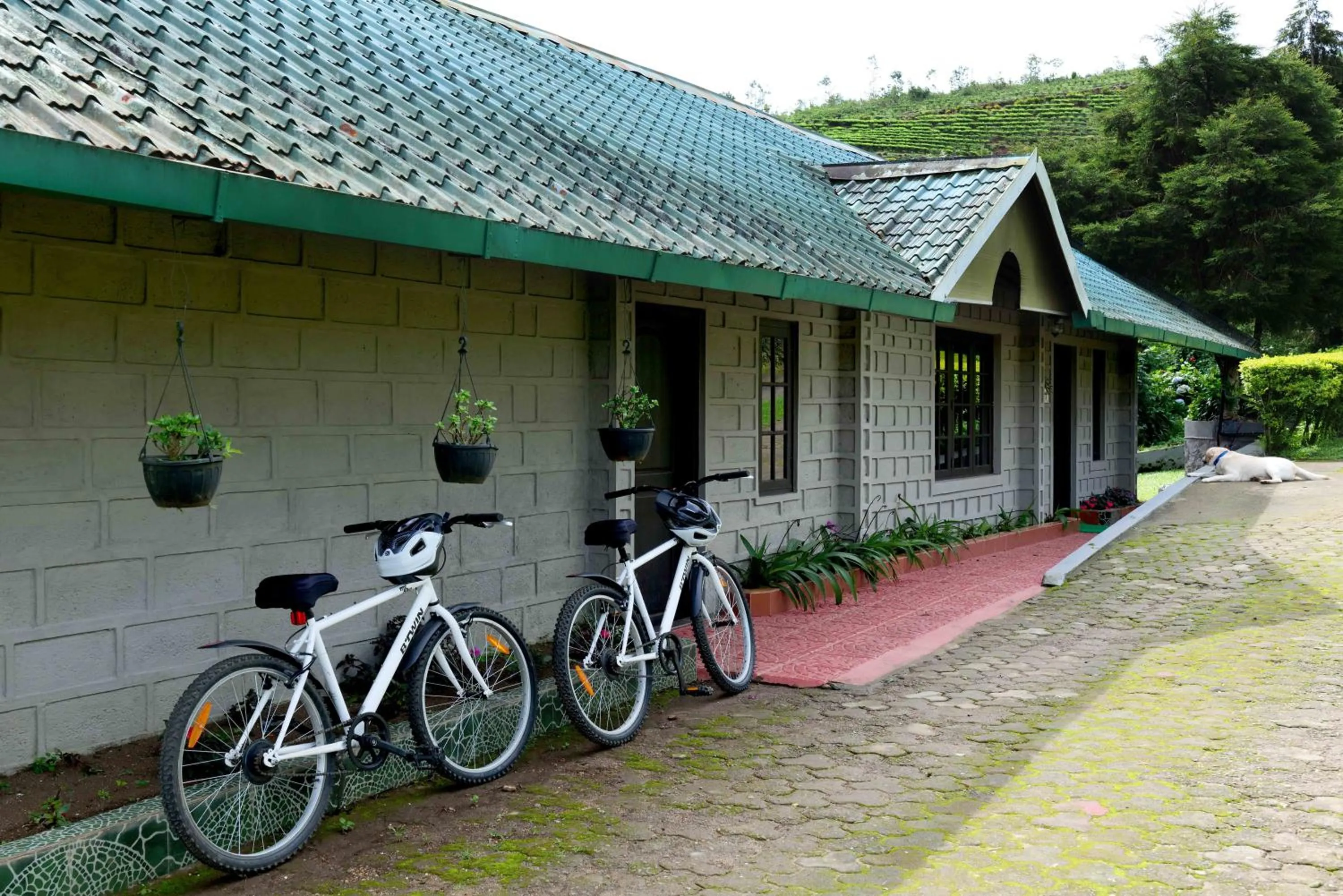 Property building in Camelot Resort