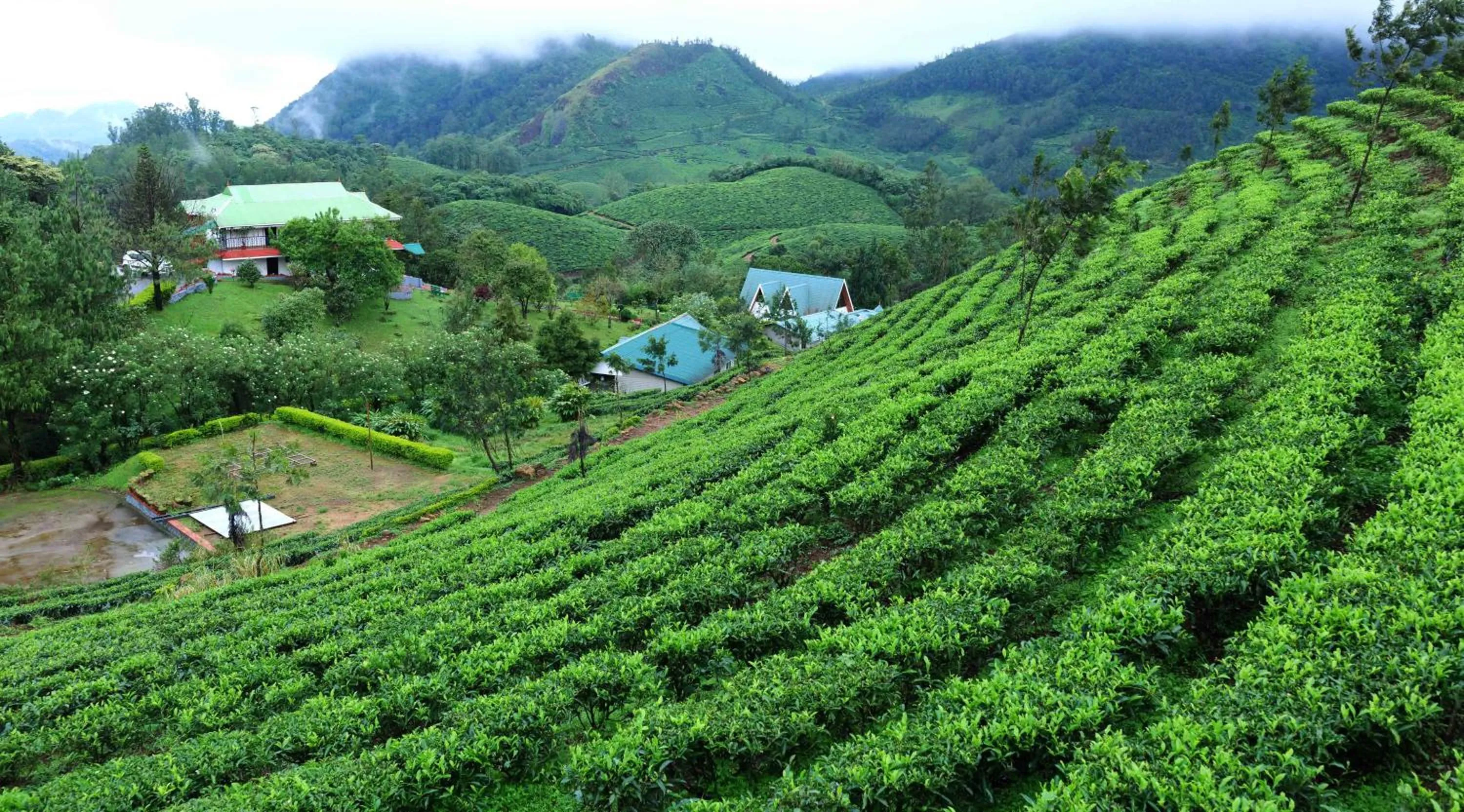 Natural landscape in Camelot Resort