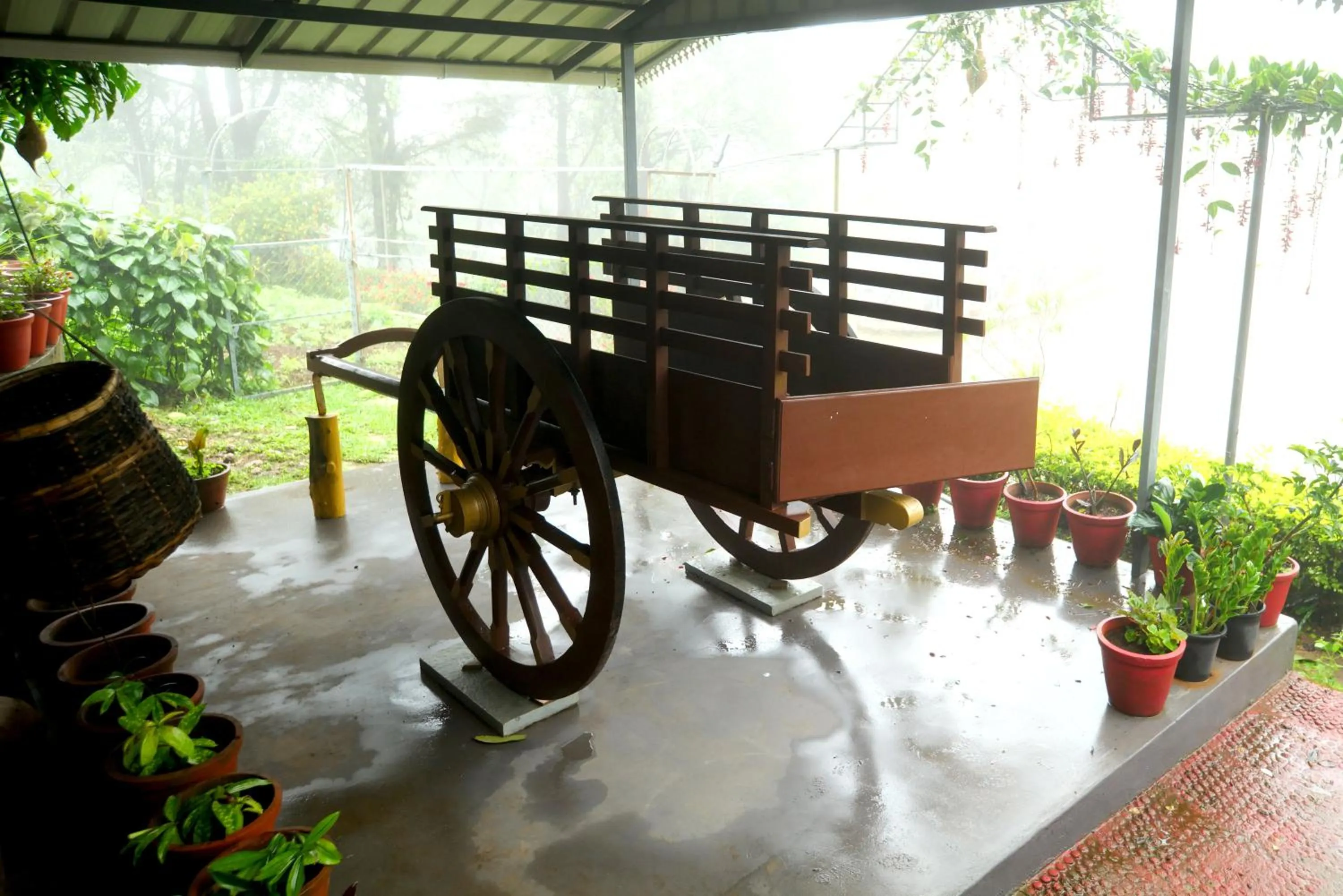 Day in Camelot Resort