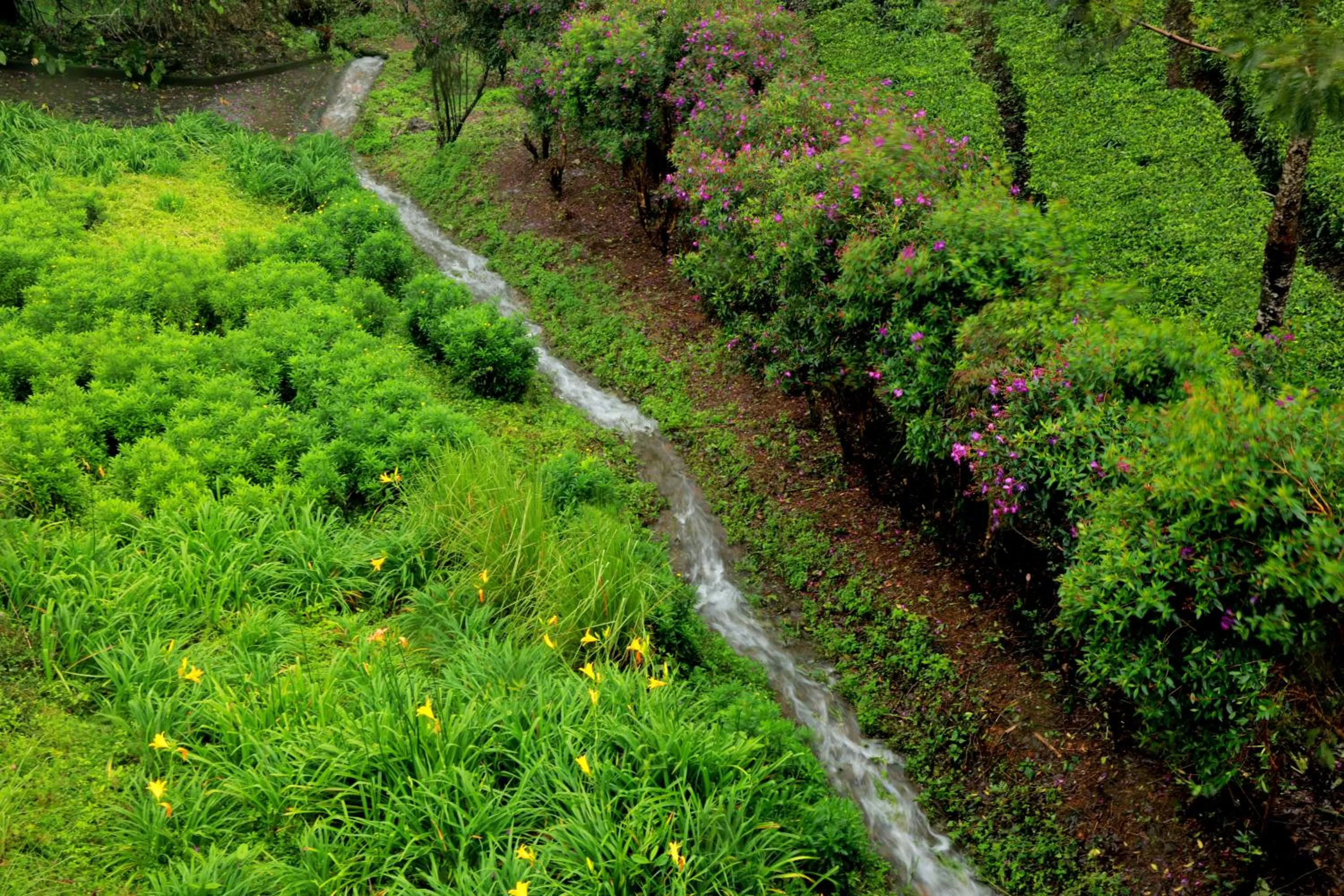 Day in Camelot Resort